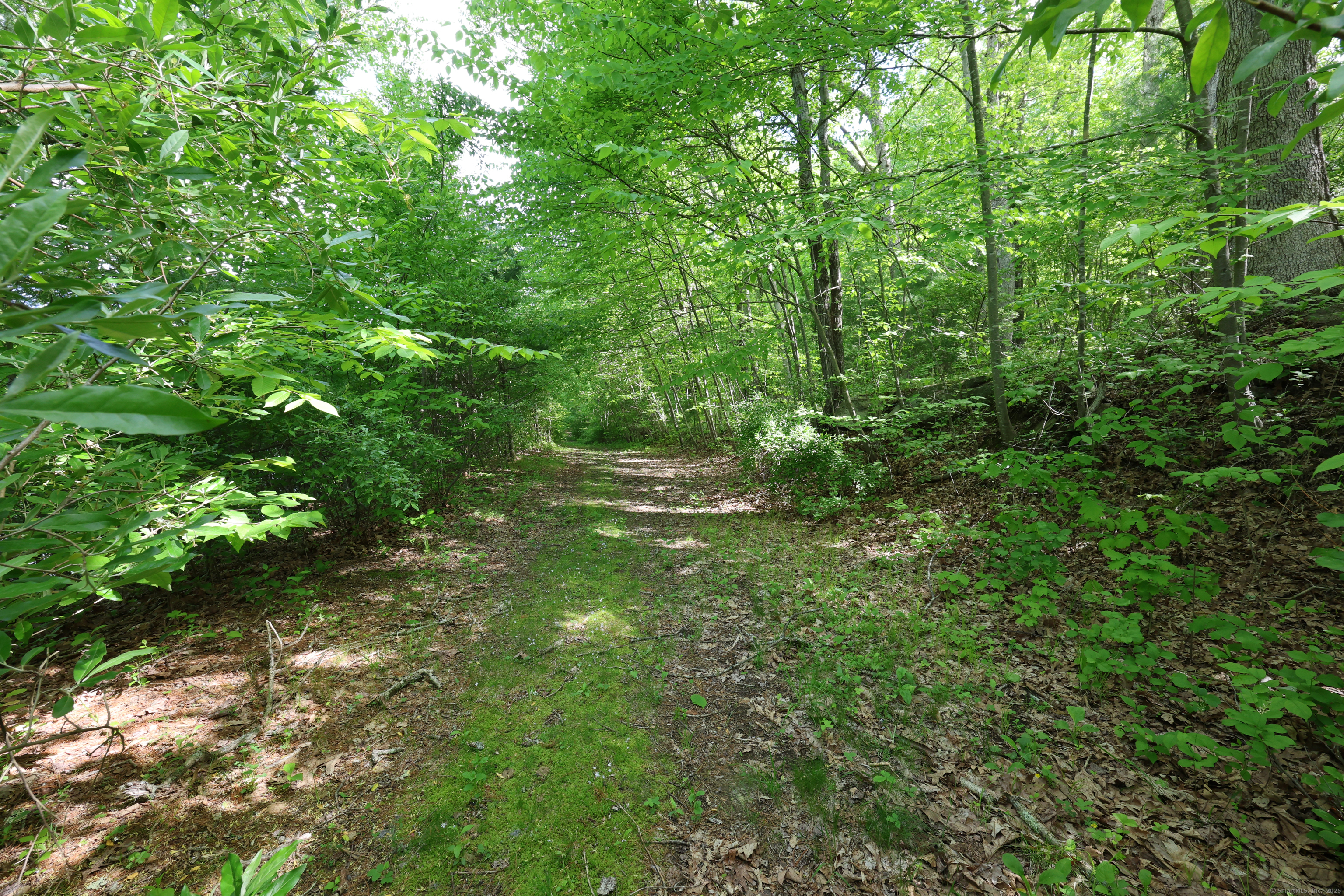 201 Diamond Ledge Road Property Photo 21