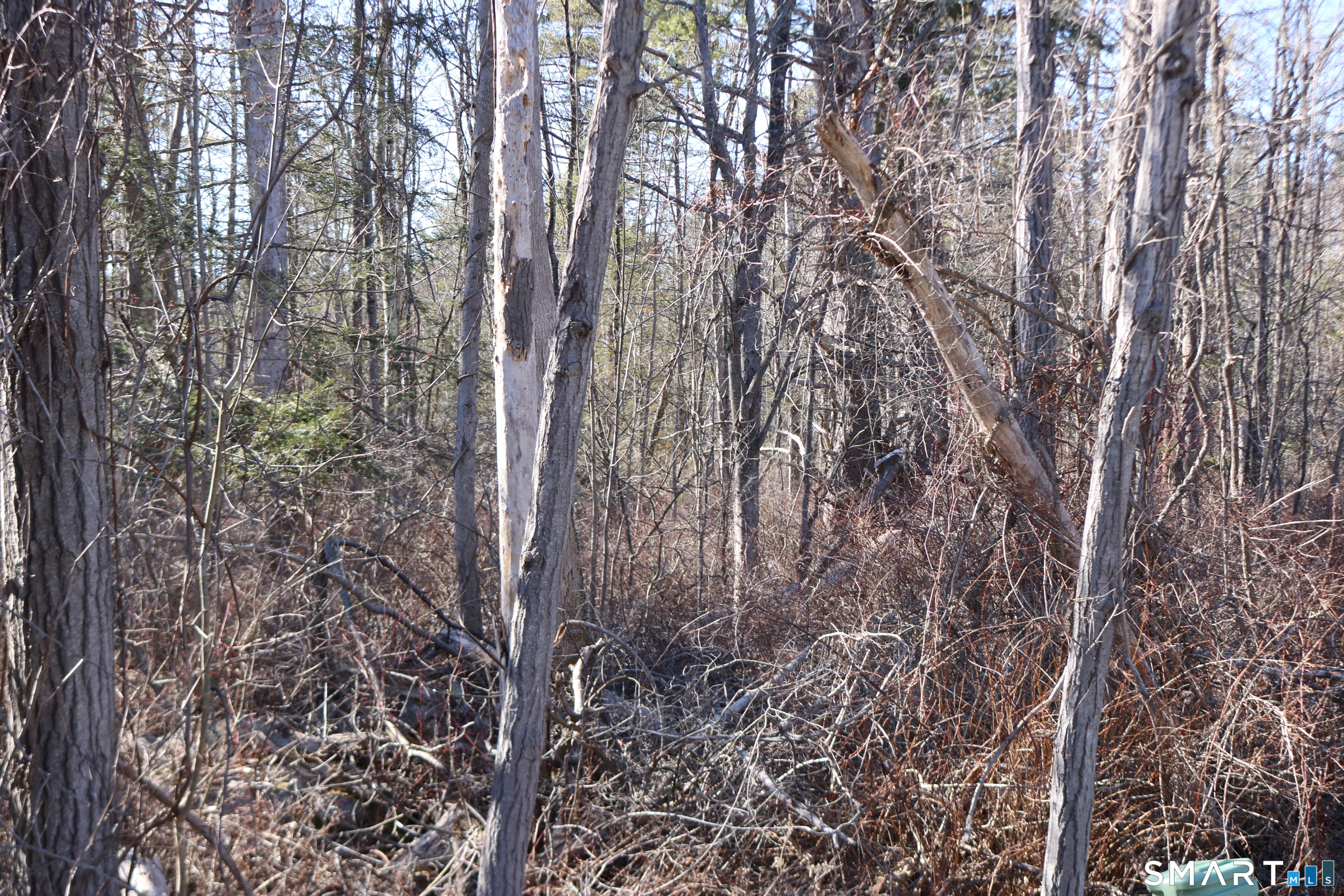 Ashley Drive Property Photo 1