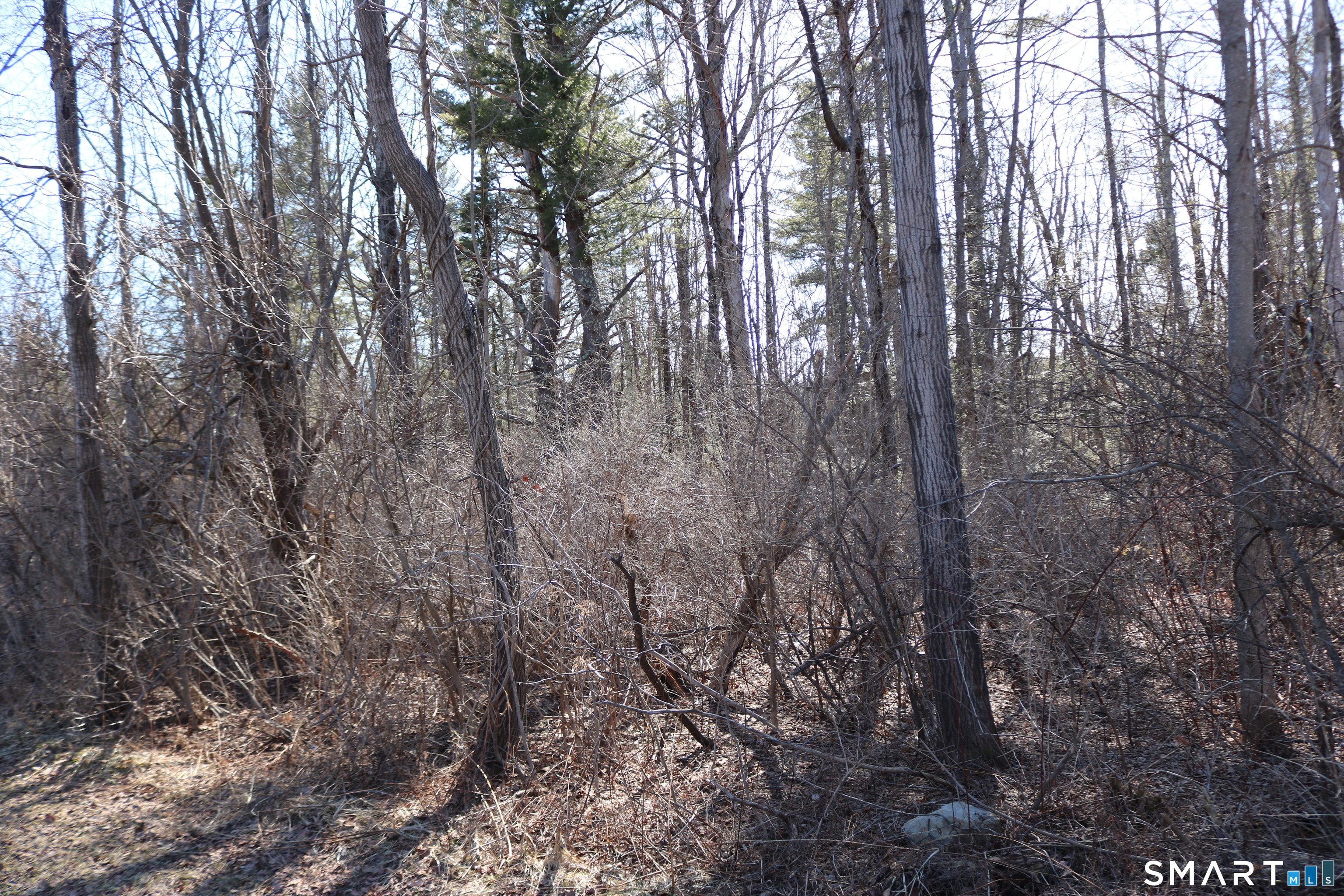 Ashley Drive Property Photo 5