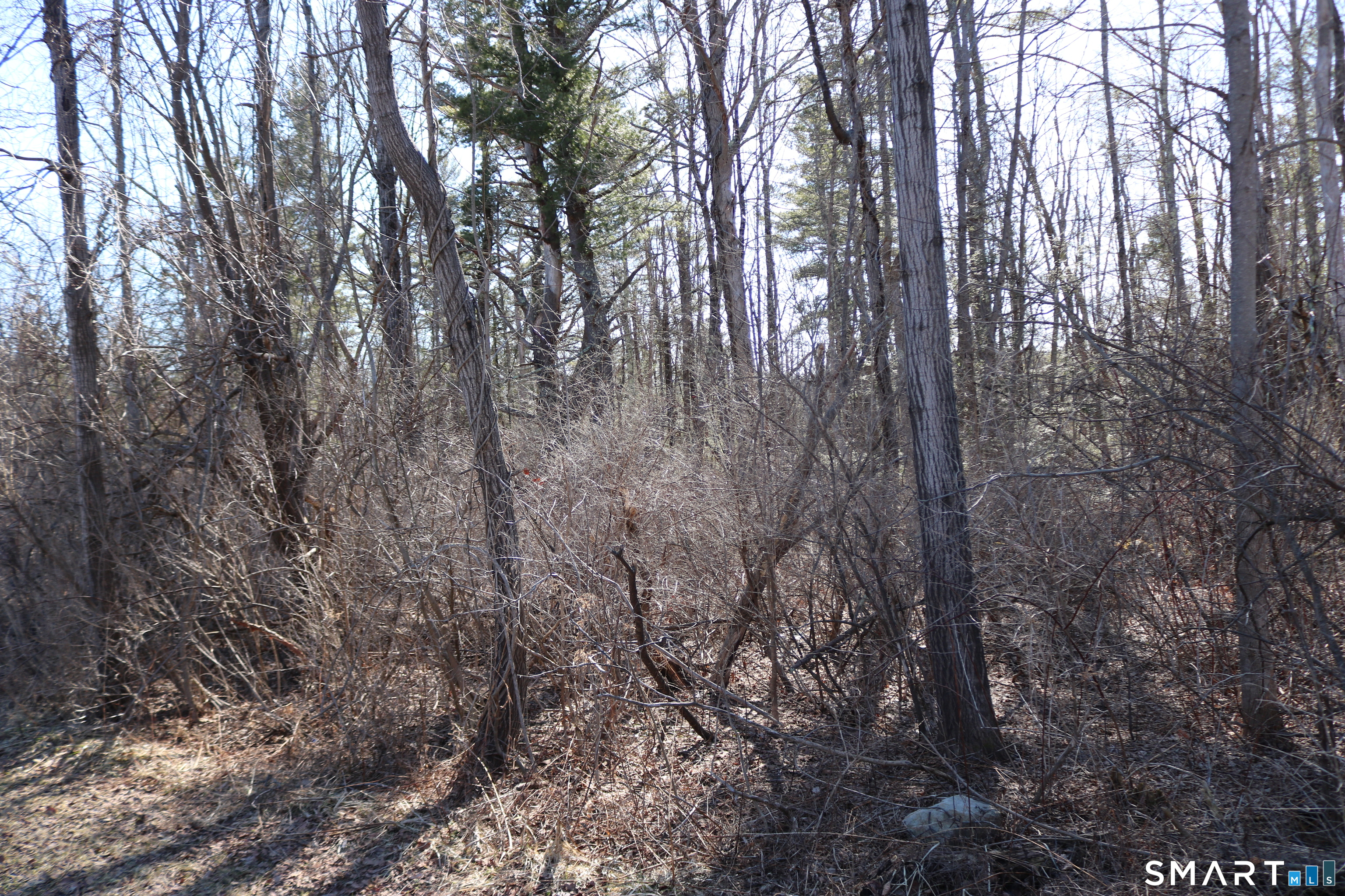 Ashley Drive Property Photo 6