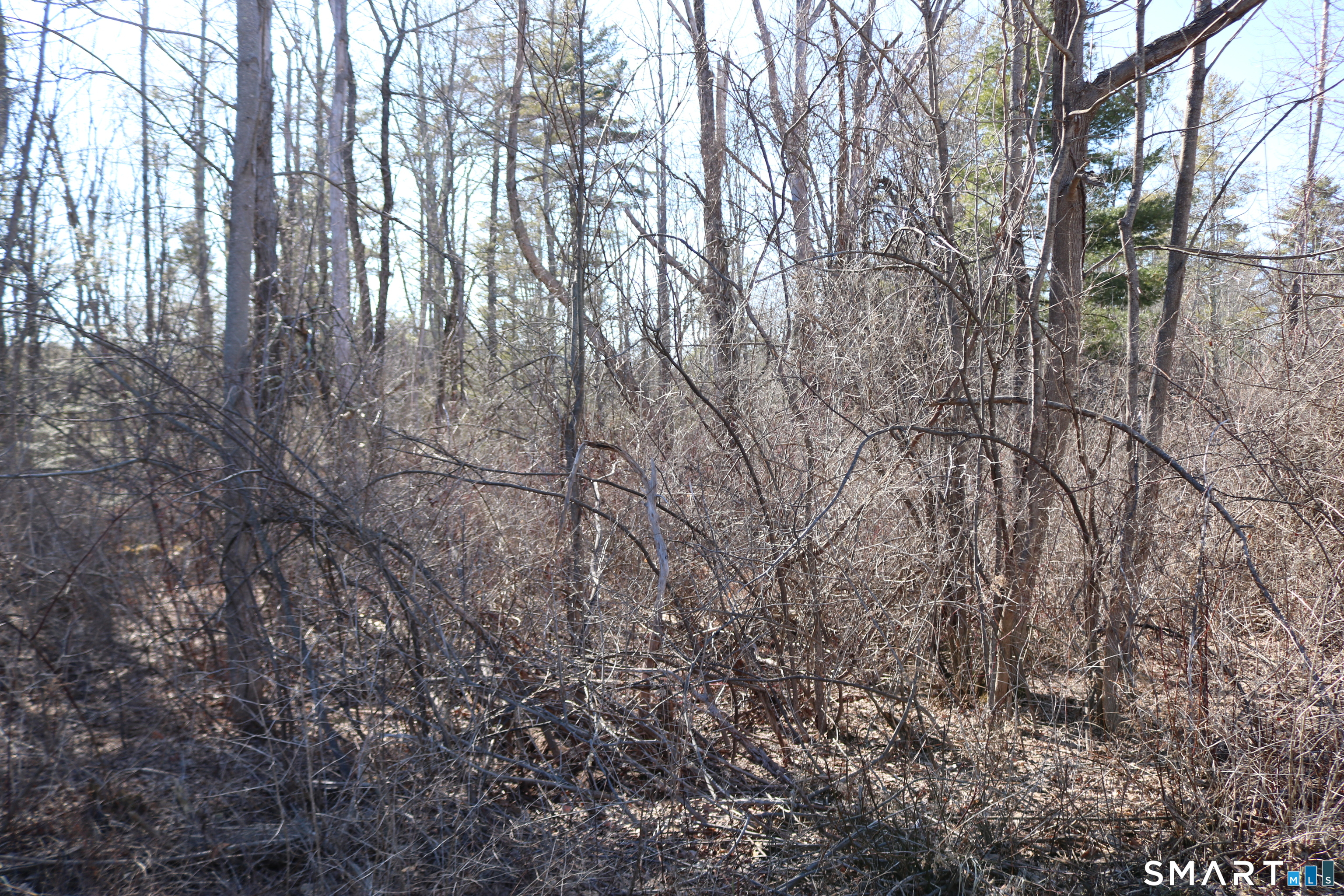 Ashley Drive Property Photo 7