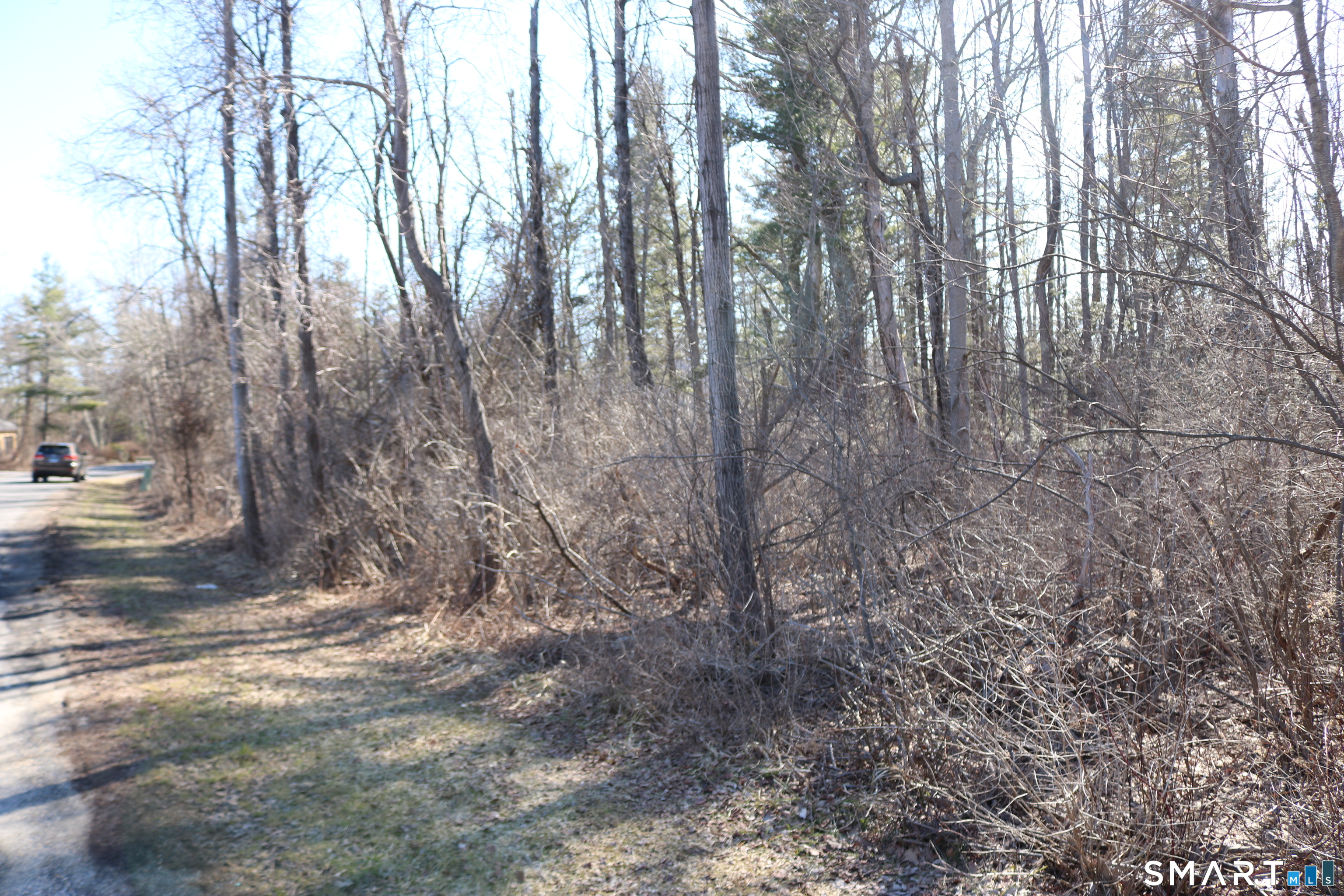 Ashley Drive Property Photo 8