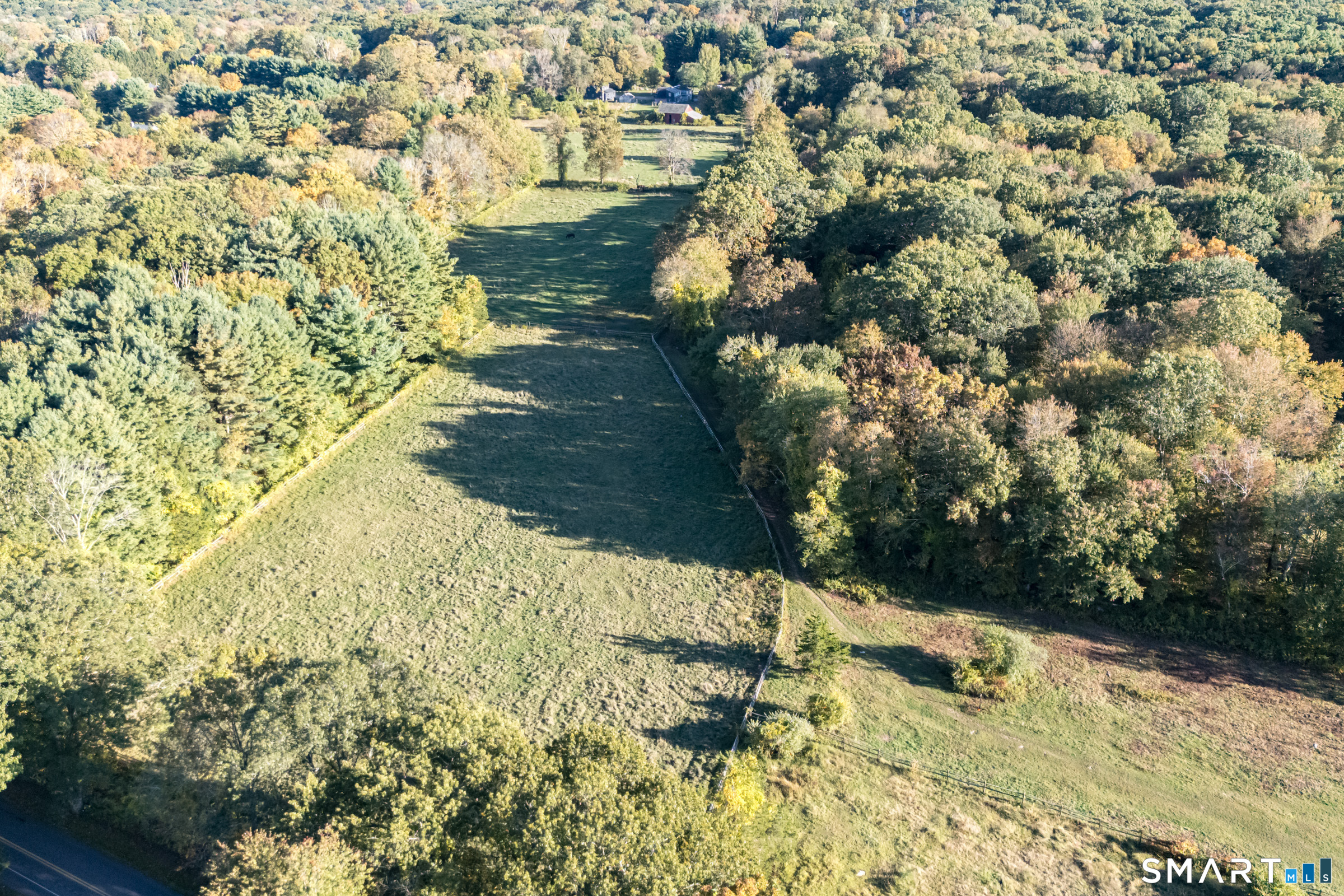45 Hoadly Road Property Photo 8