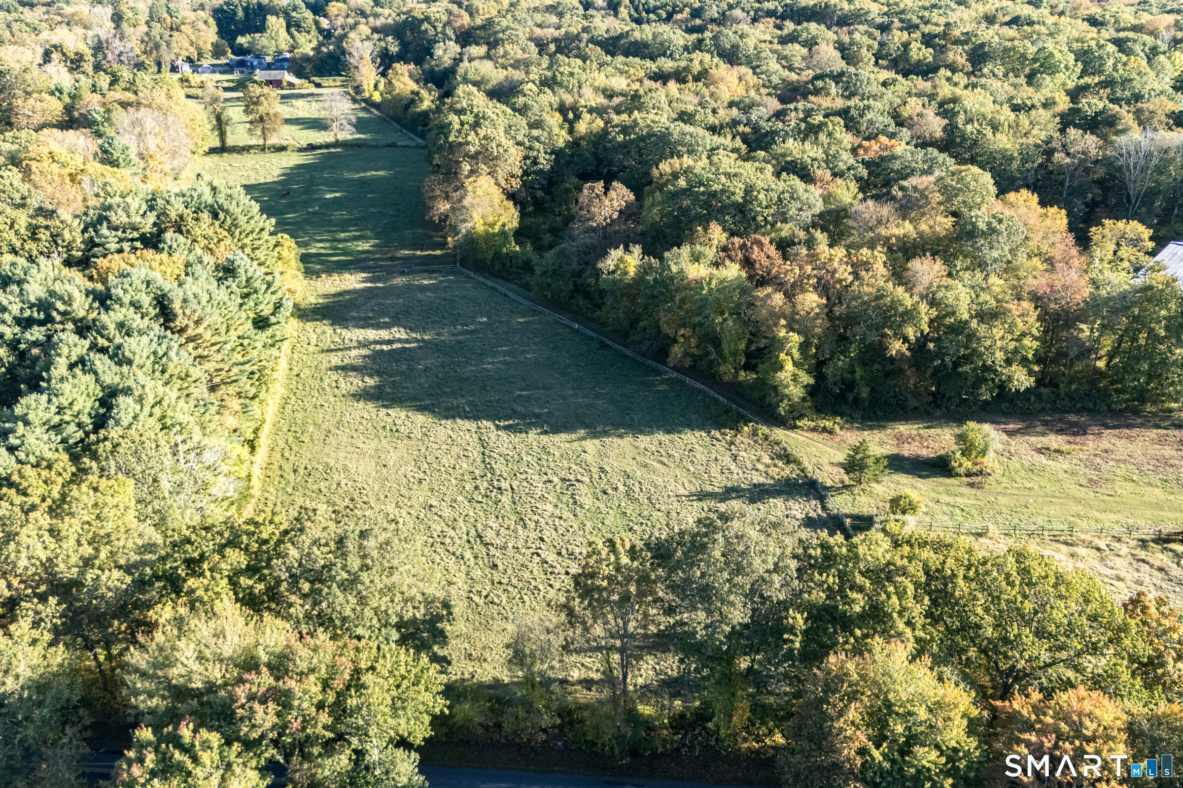 45 Hoadly Road Property Photo 9