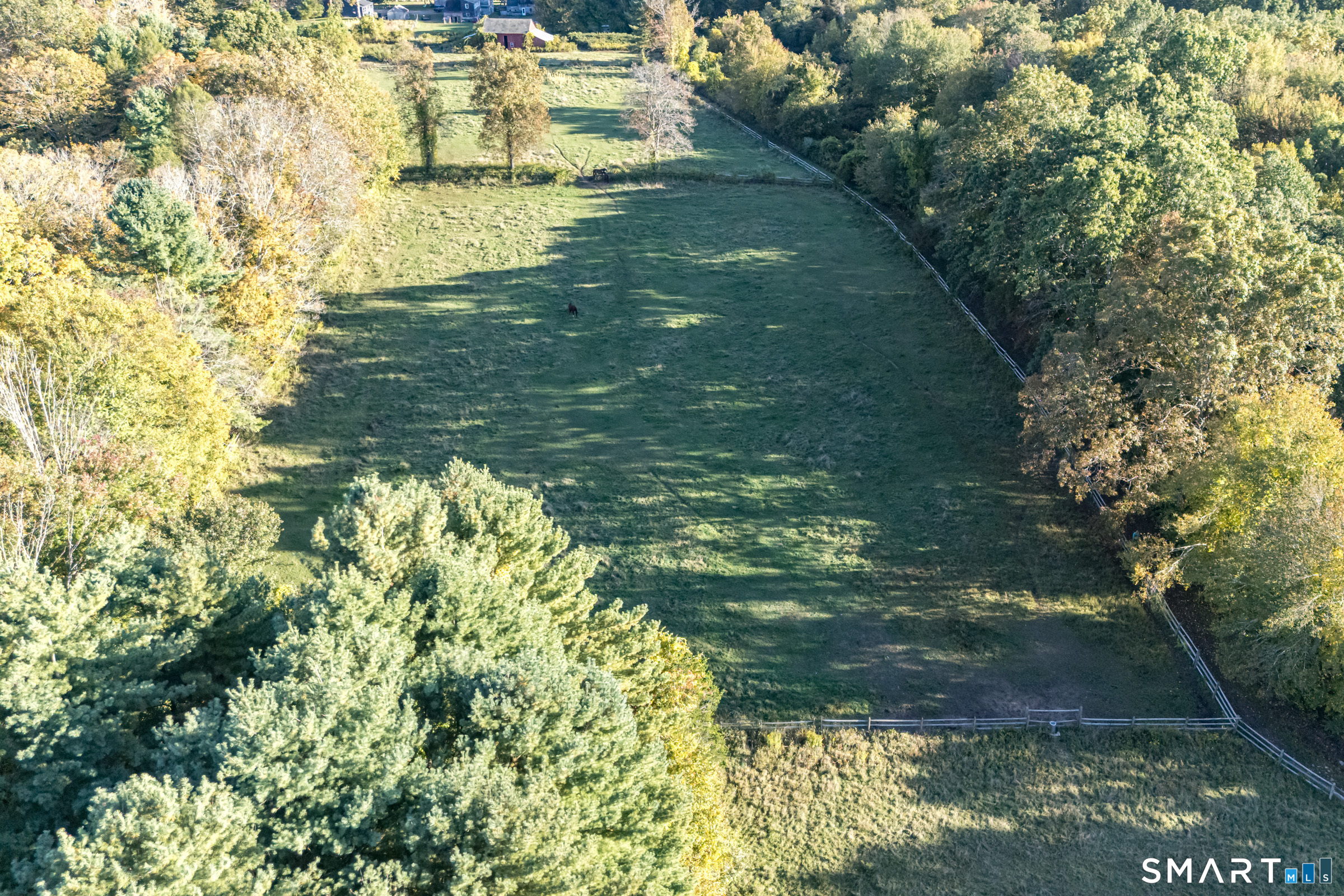 45 Hoadly Road Property Photo 10
