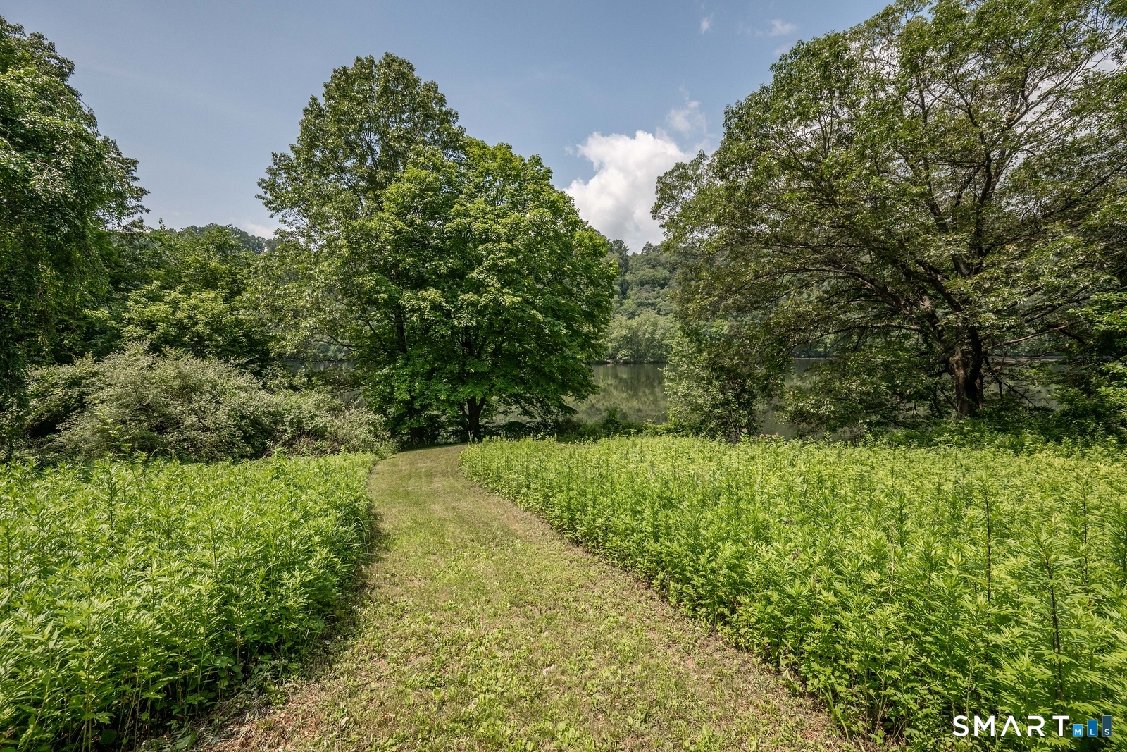24164147 Property Photo 2
