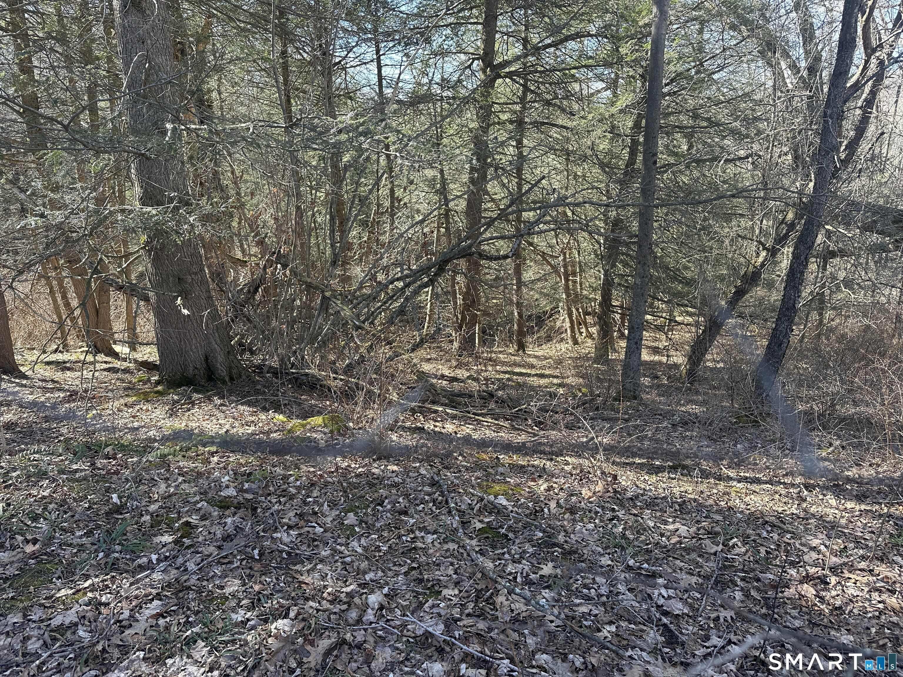 0 Newcomb Road Property Photo 2