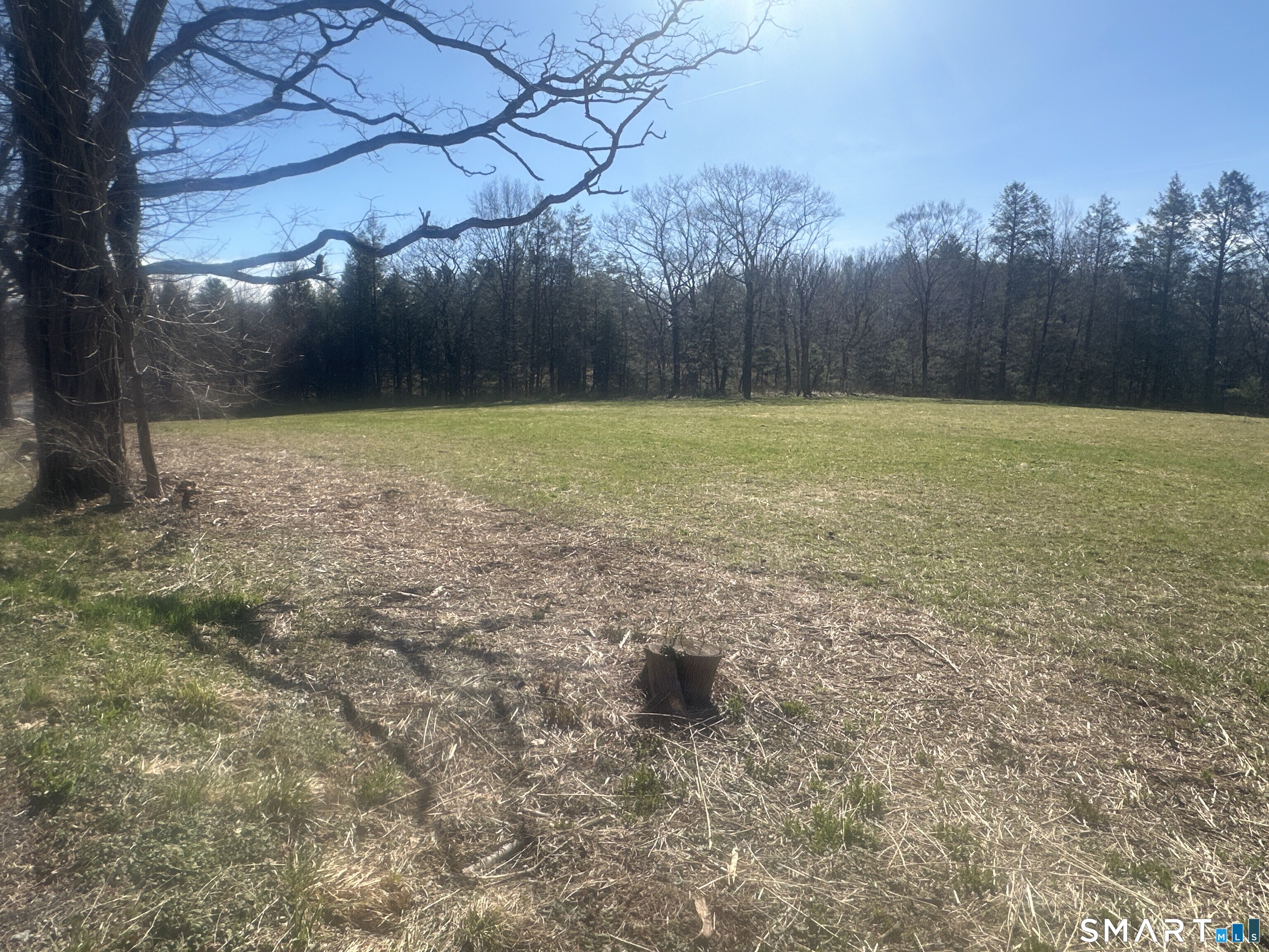 0 Newcomb Road Property Photo 5