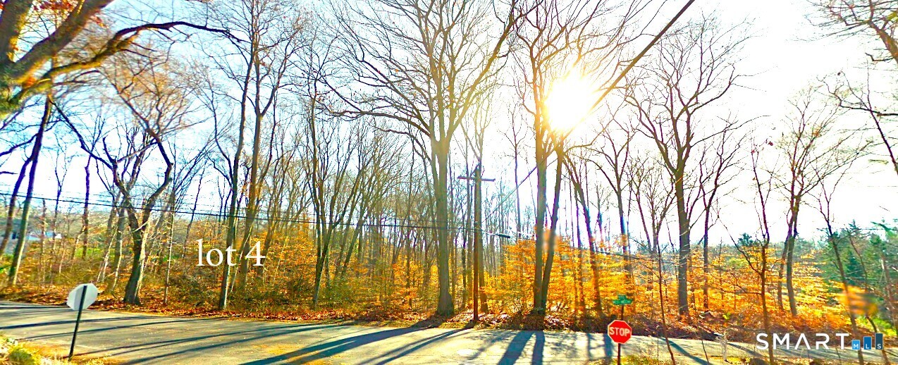 Lot #4 Mischa West Road Property Photo 5
