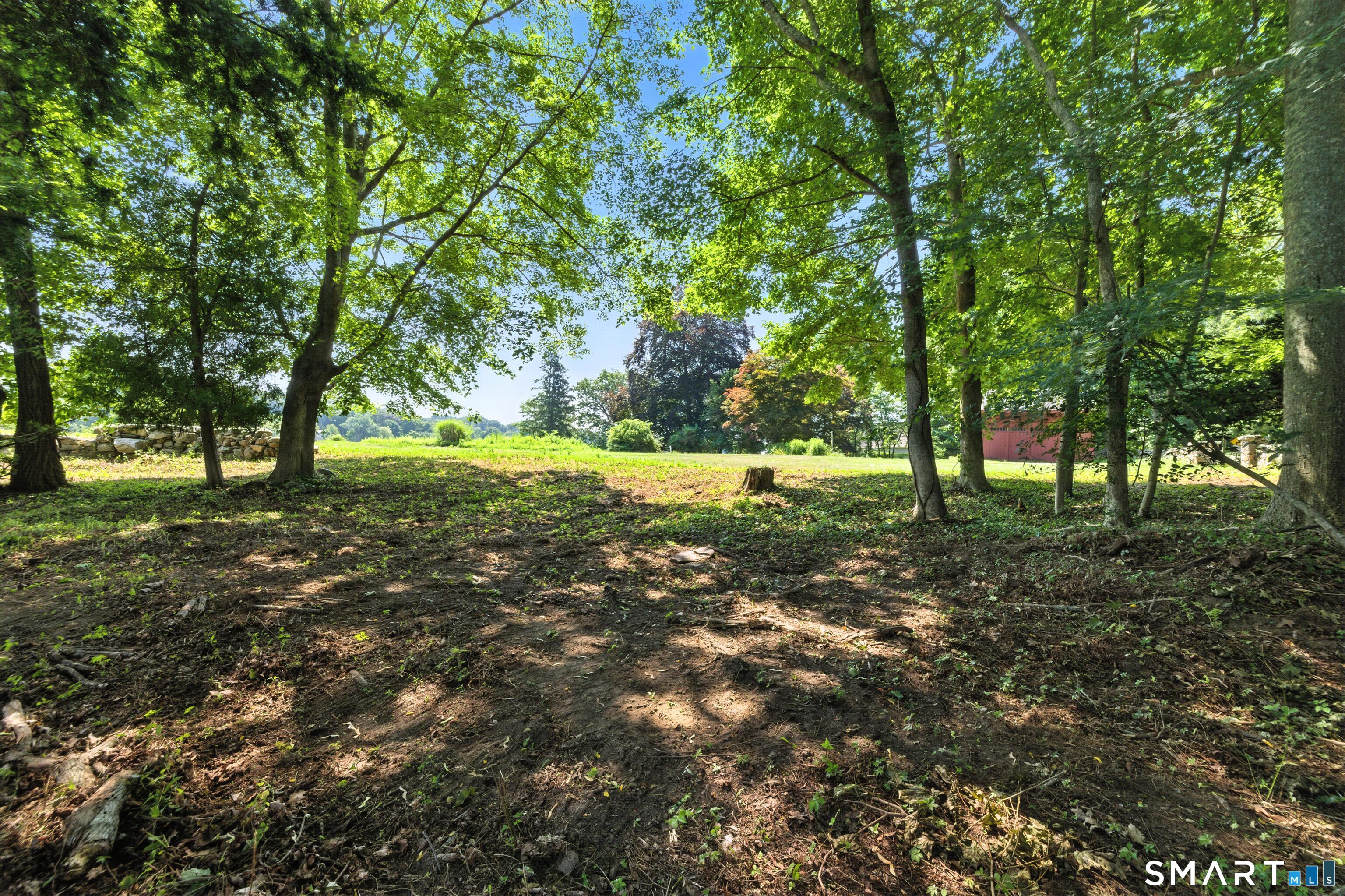 88 Cove Road Property Photo 7