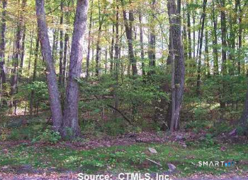 254 Stoddard Road Property Photo 1