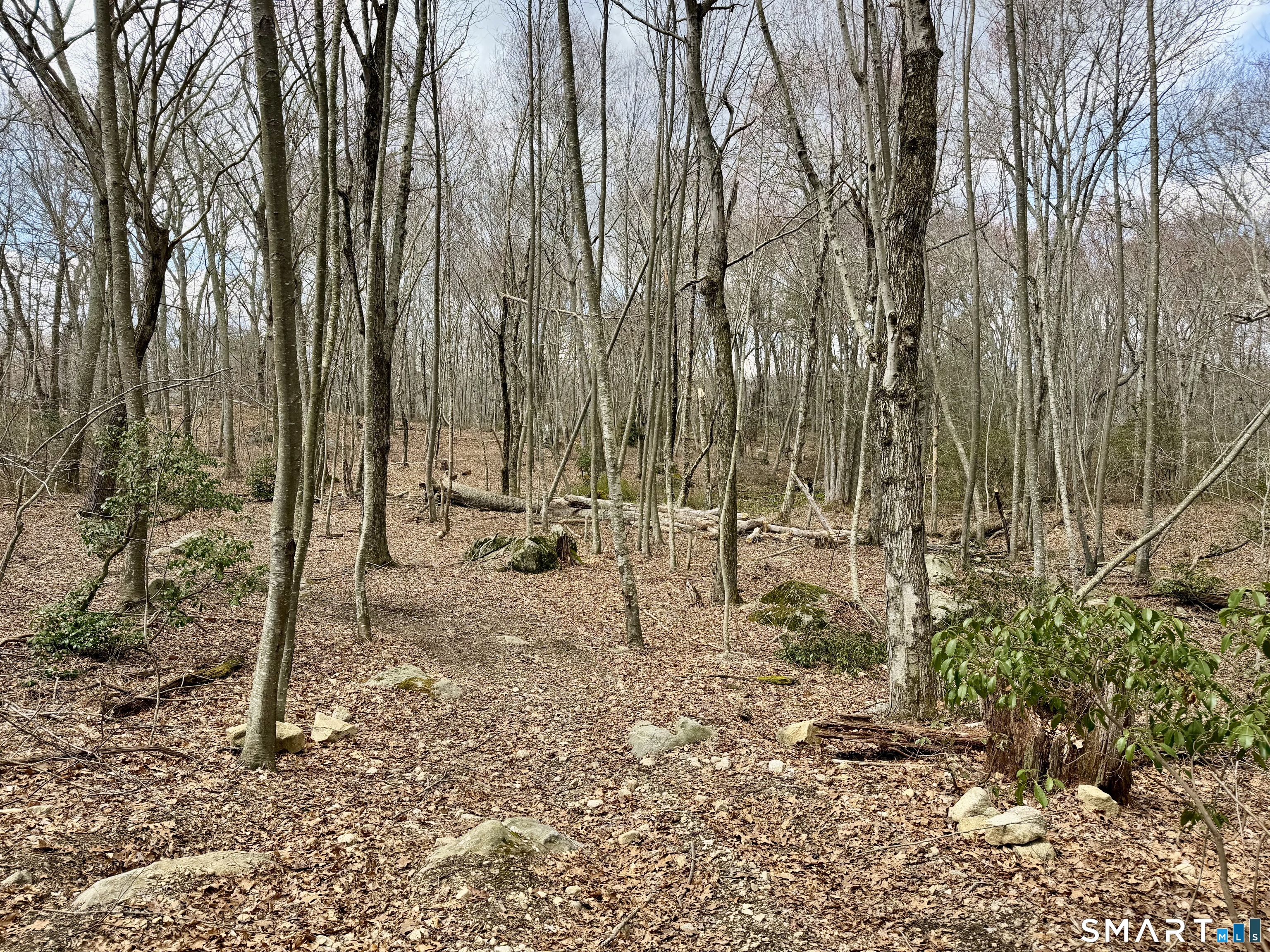 241 Niantic River Road Property Photo 18