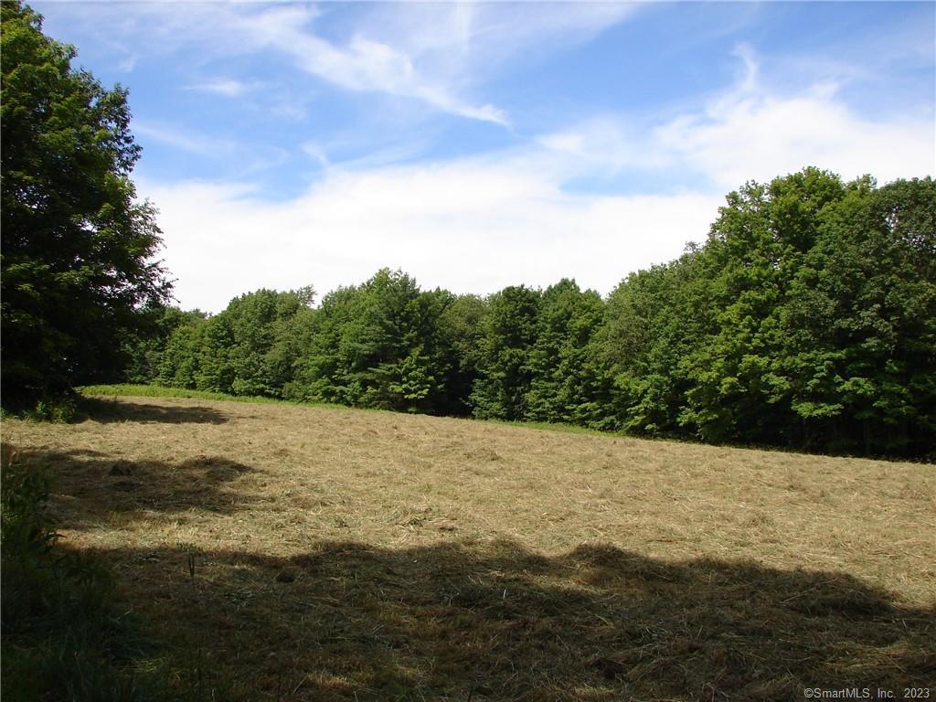 Lot 5 Milton Road Property Photo 12