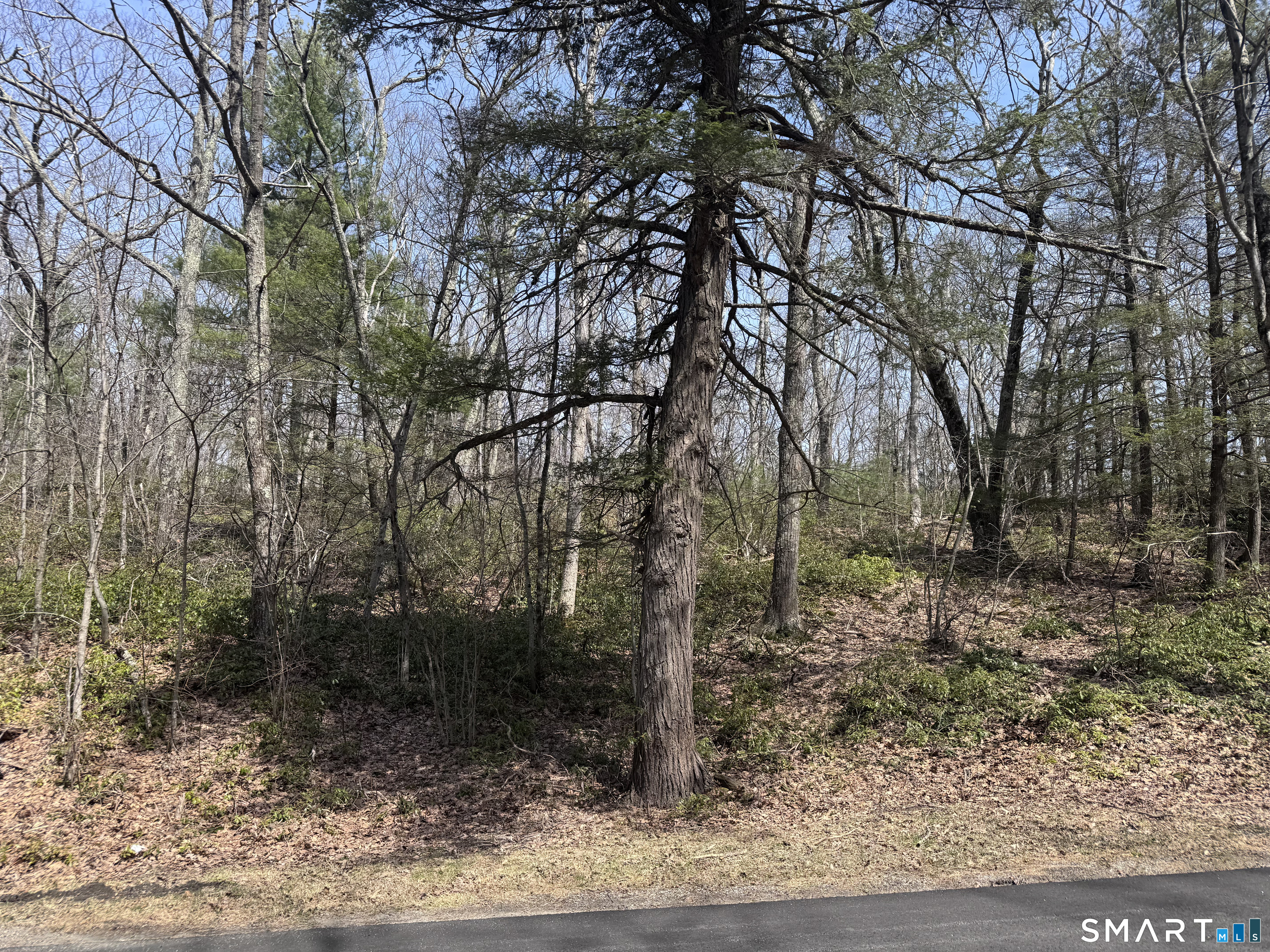 Windy Ridge Road Property Photo 1