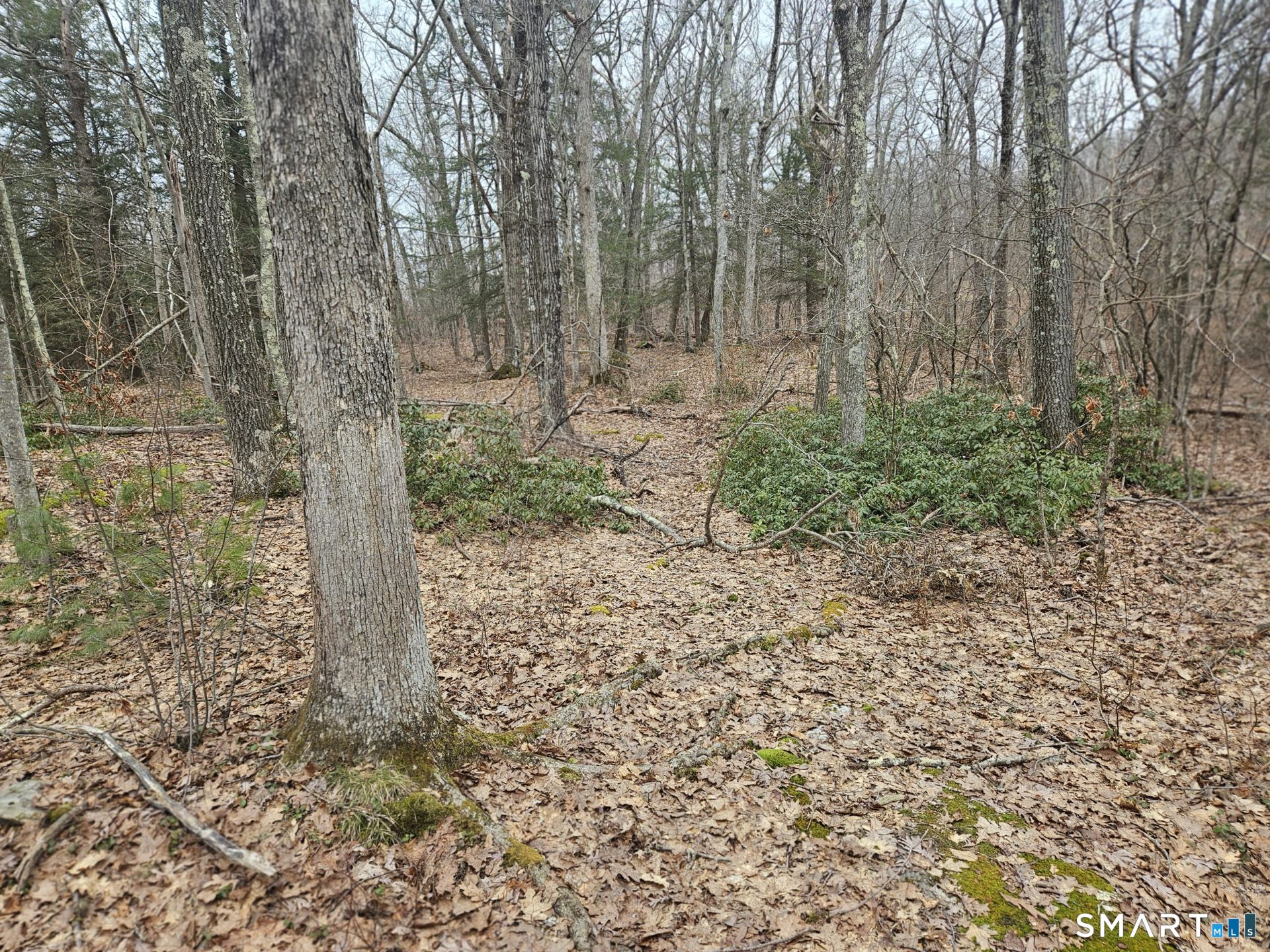 Windy Ridge Road Property Photo 2