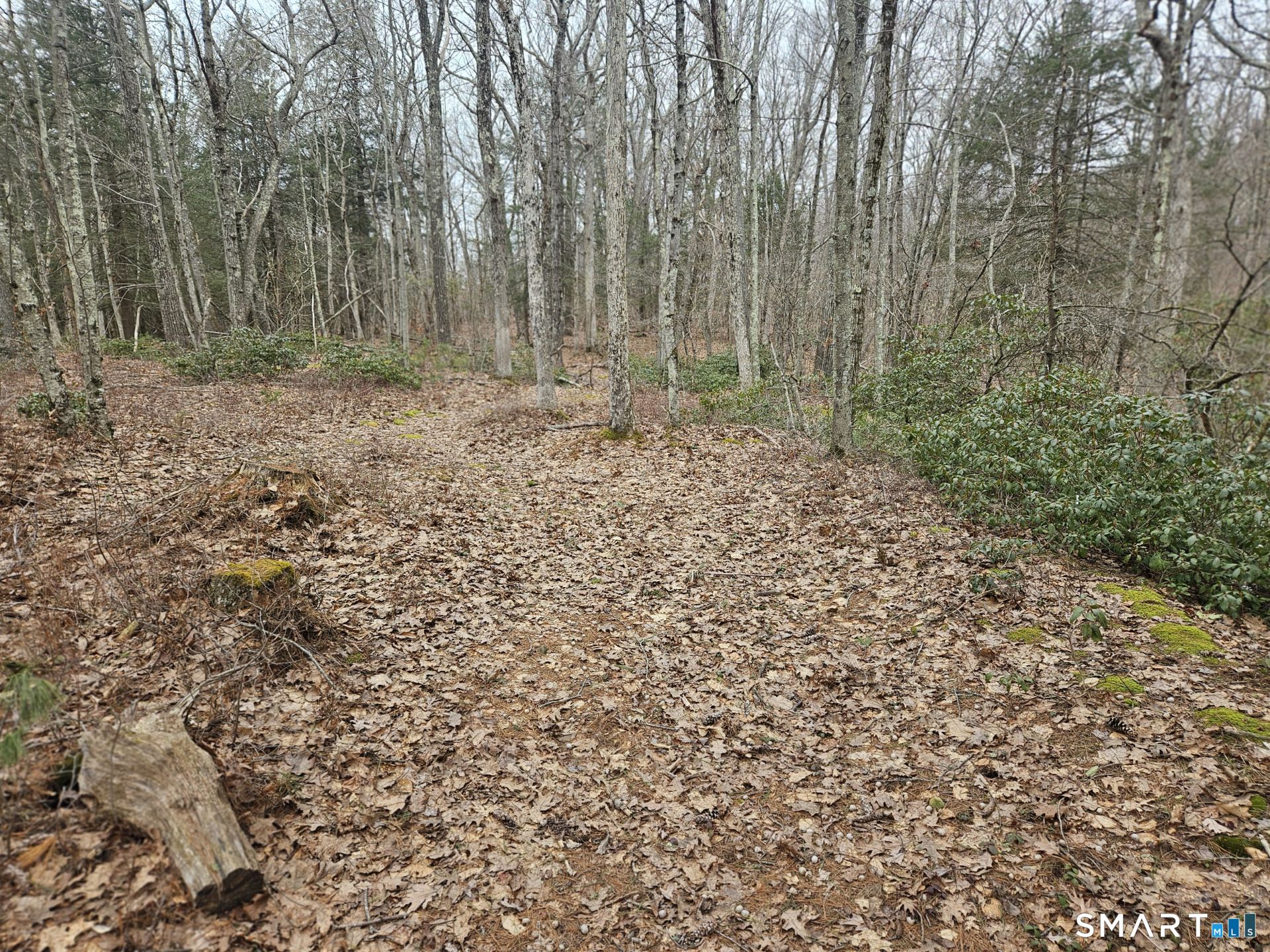 Windy Ridge Road Property Photo 3