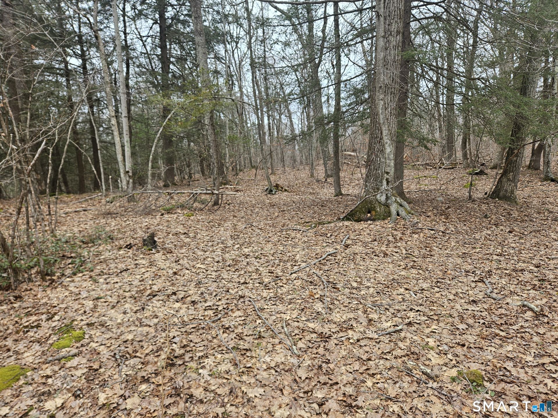 Windy Ridge Road Property Photo 4