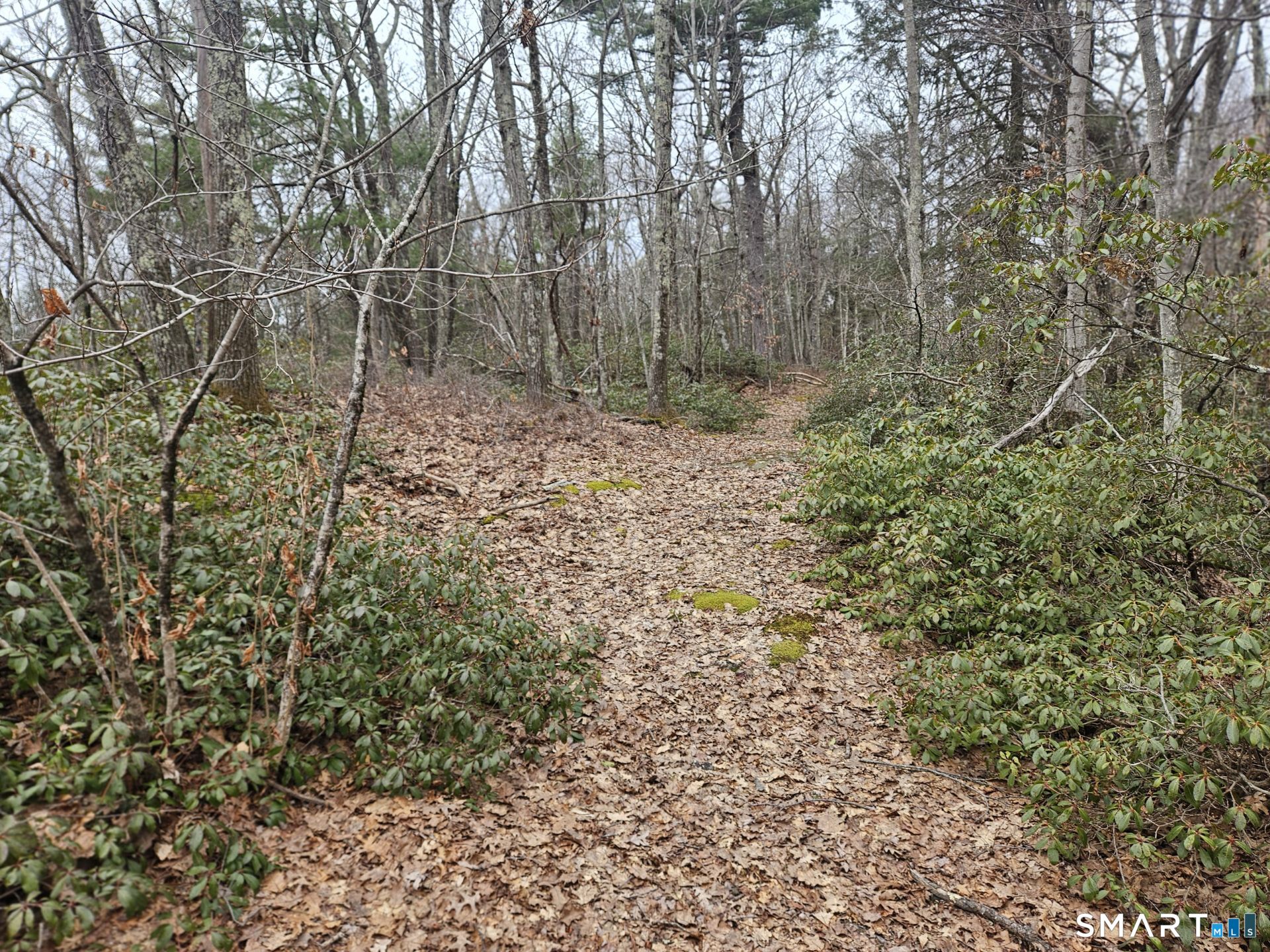 Windy Ridge Road Property Photo 5