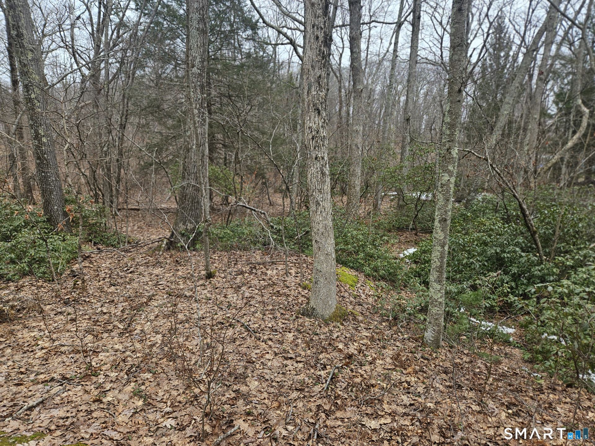 Windy Ridge Road Property Photo 6