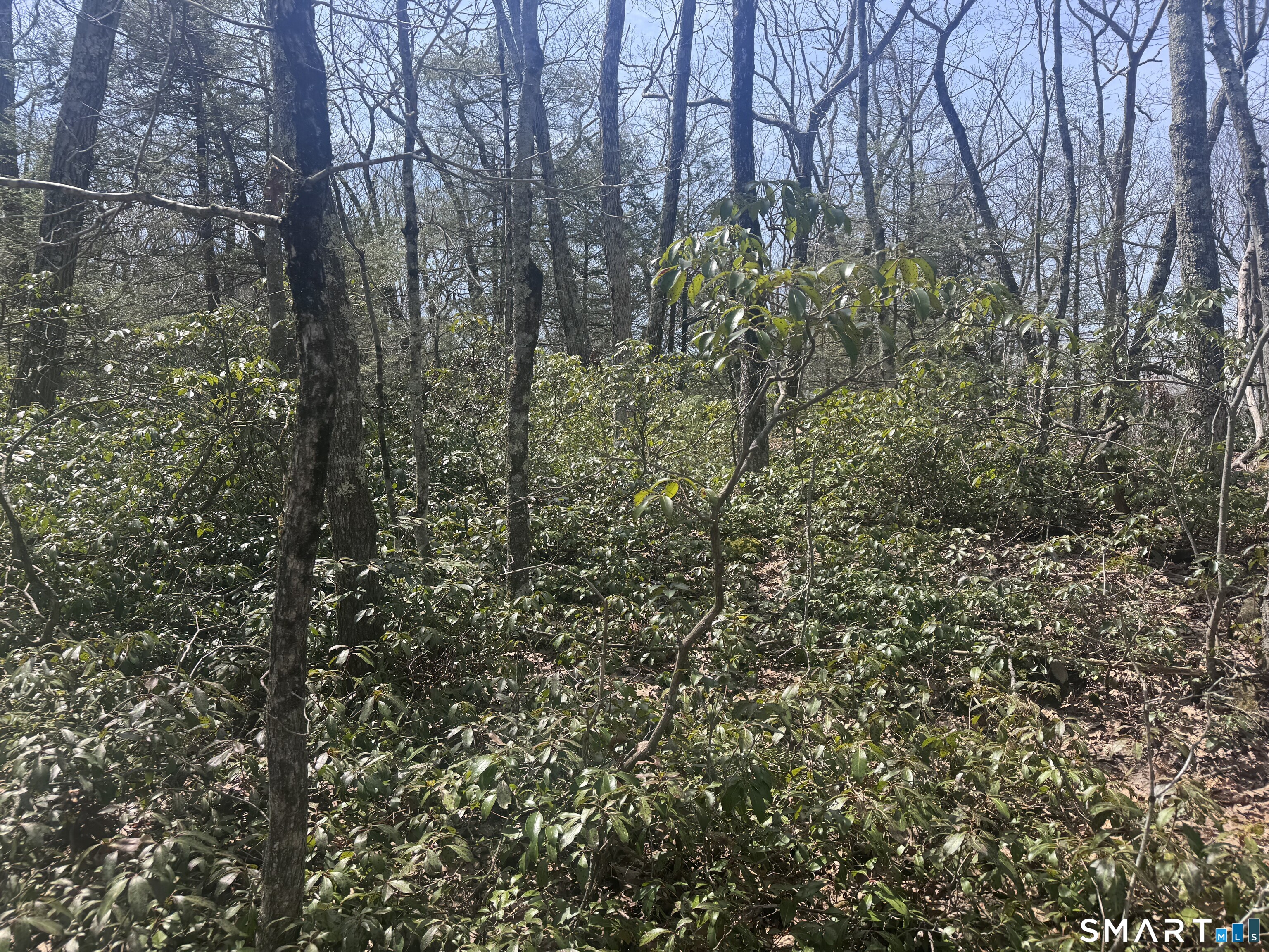 Windy Ridge Road Property Photo 7