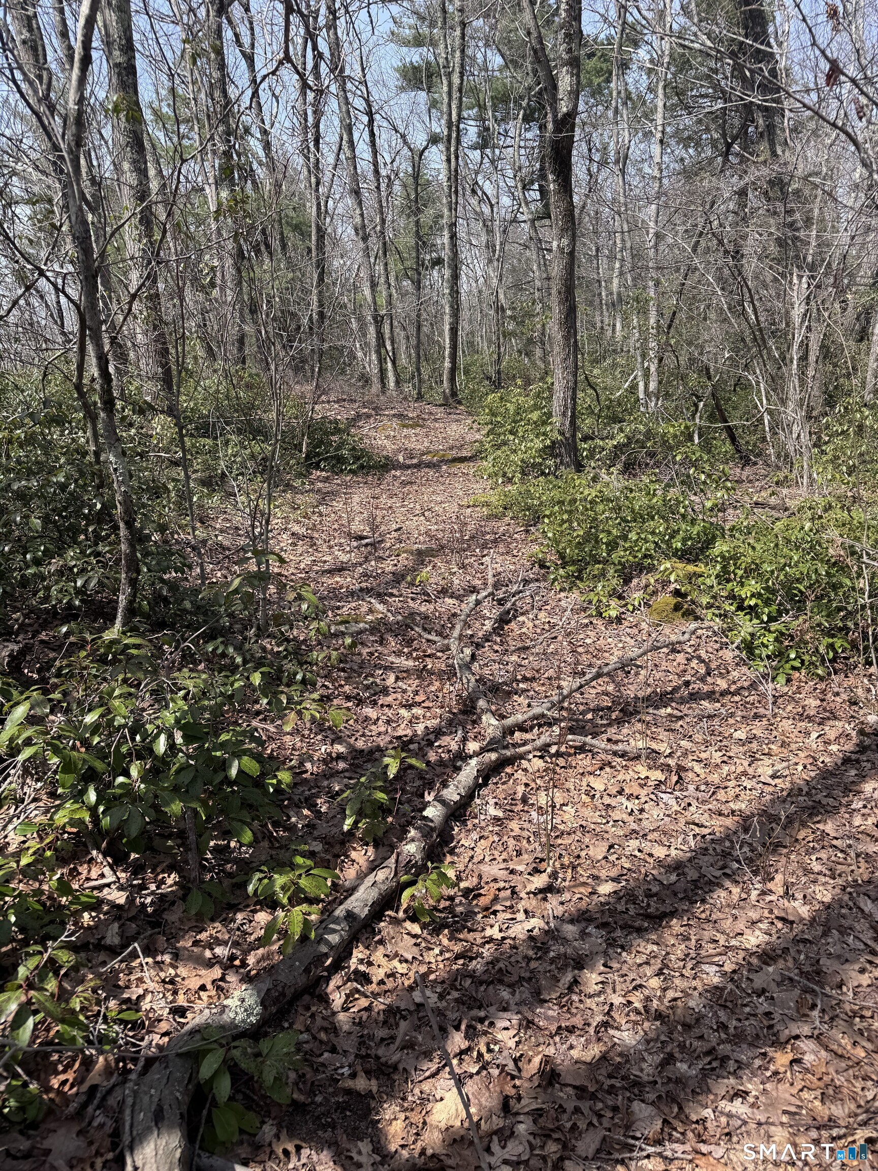 Windy Ridge Road Property Photo 8