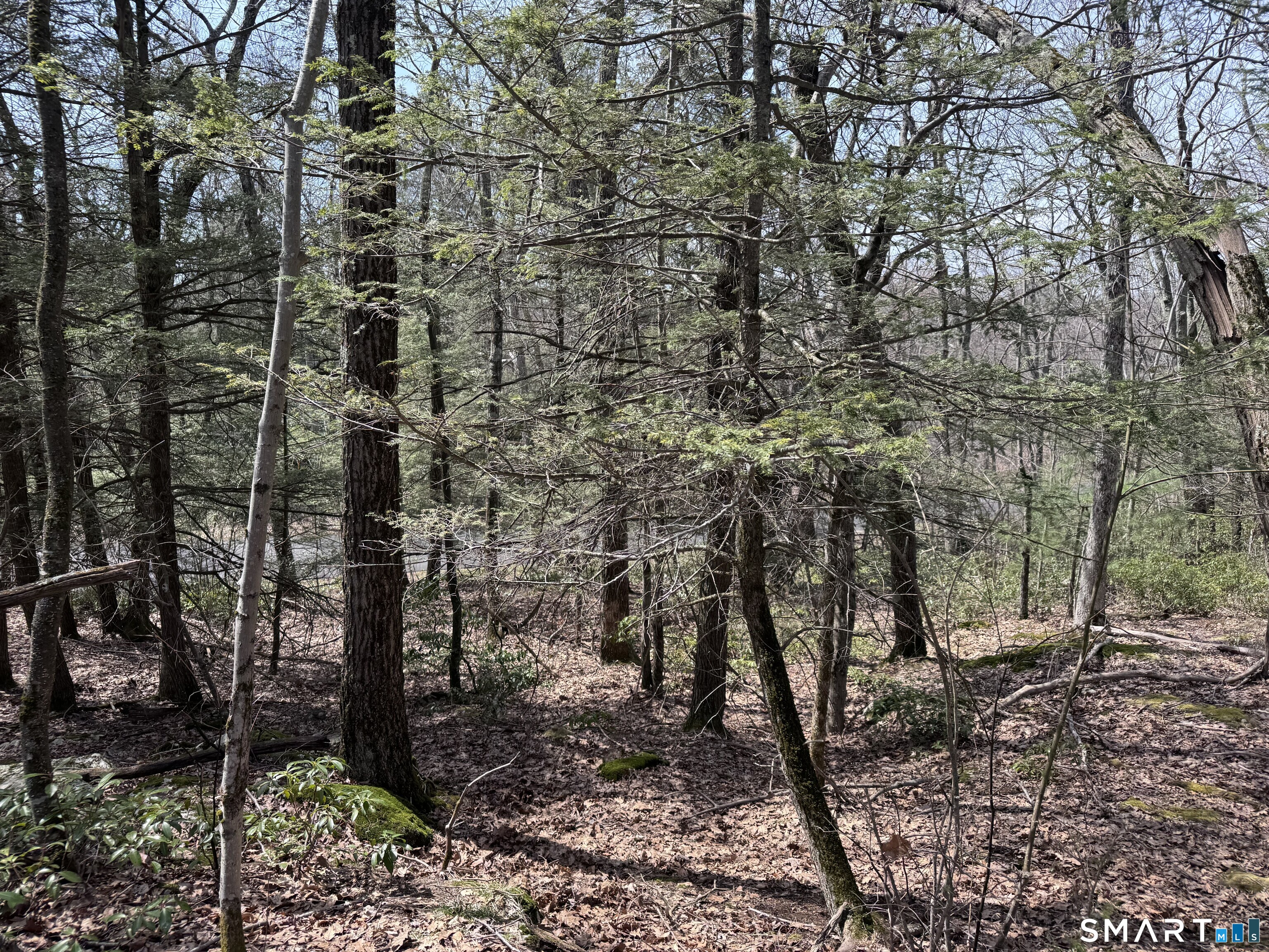 Windy Ridge Road Property Photo 9