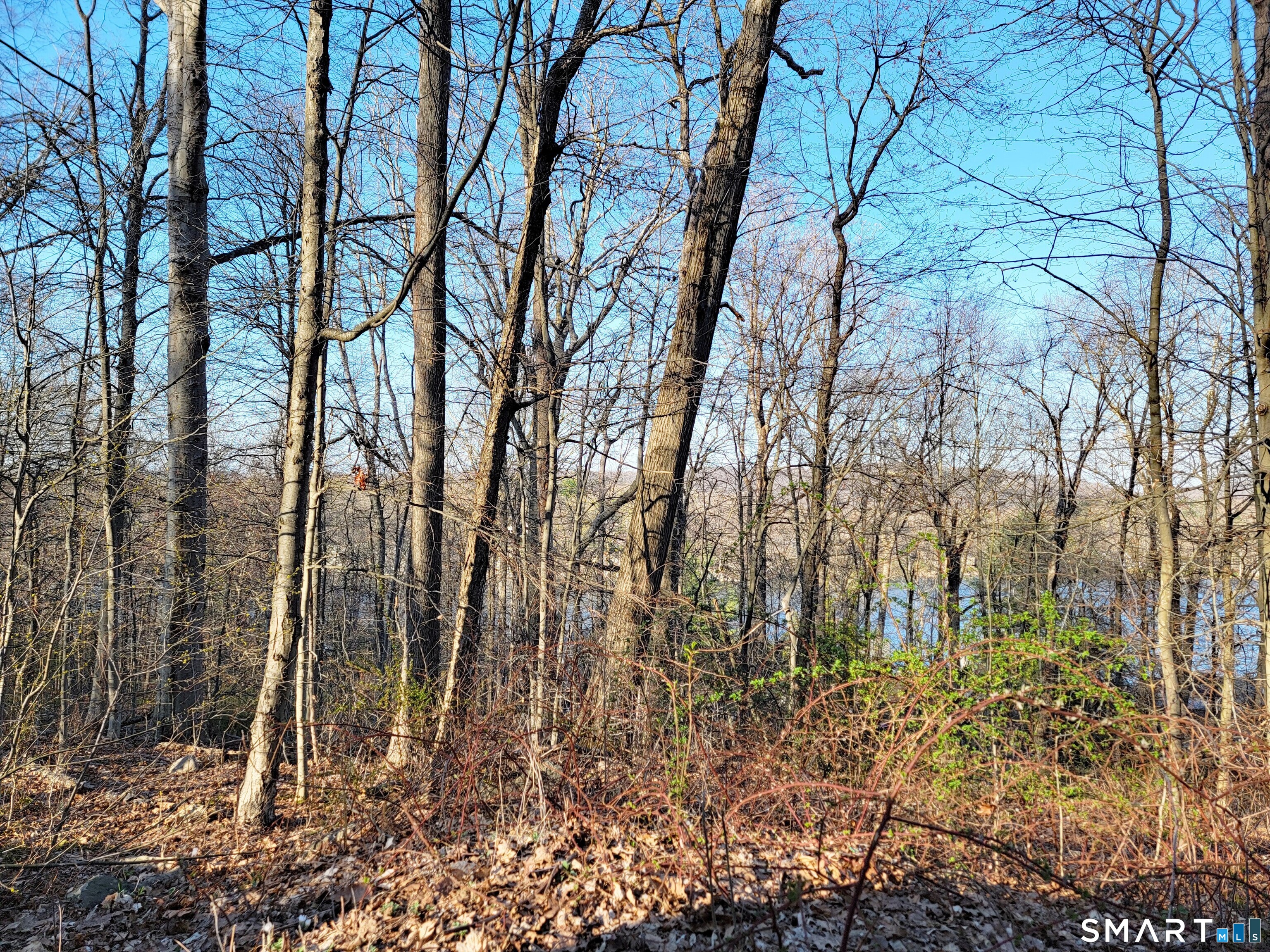 Parcel 8 Old Sib Road Property Photo 4