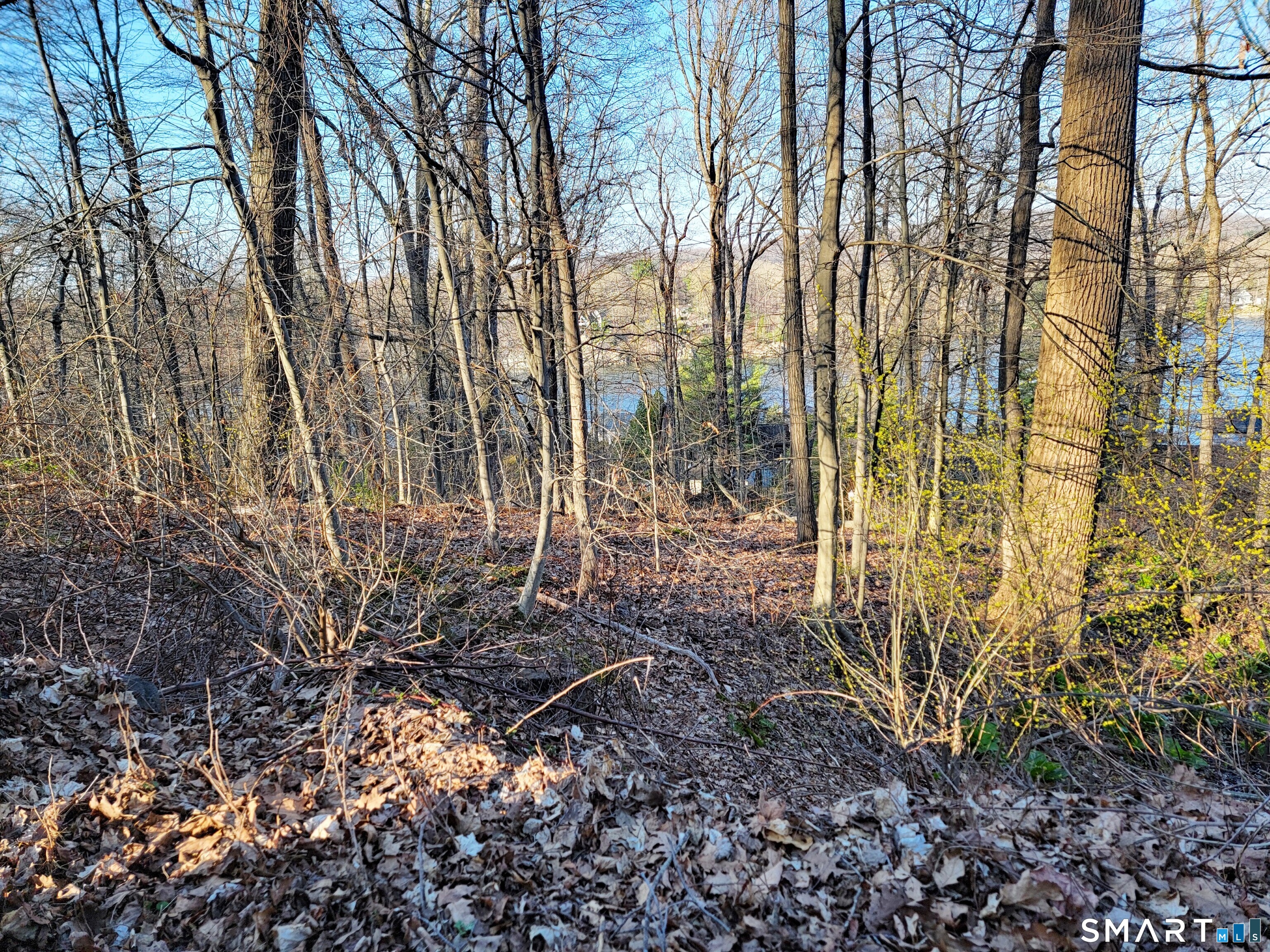 Parcel 8 Old Sib Road Property Photo 5