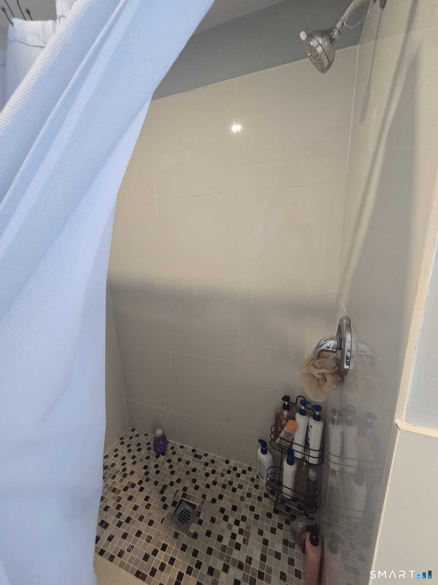 163 Chapel Street Property Photo 6