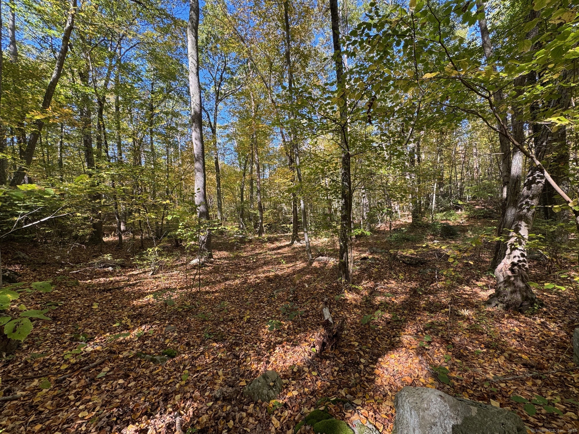 428-lot Plains Road Property Photo 1