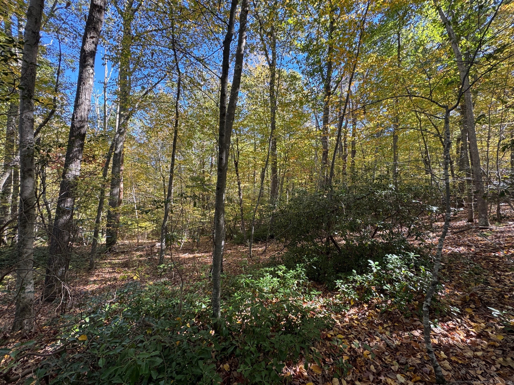 428-lot Plains Road Property Photo 4