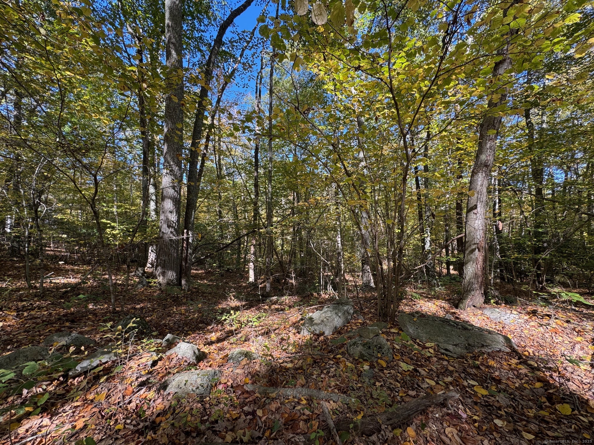 428-lot Plains Road Property Photo 5