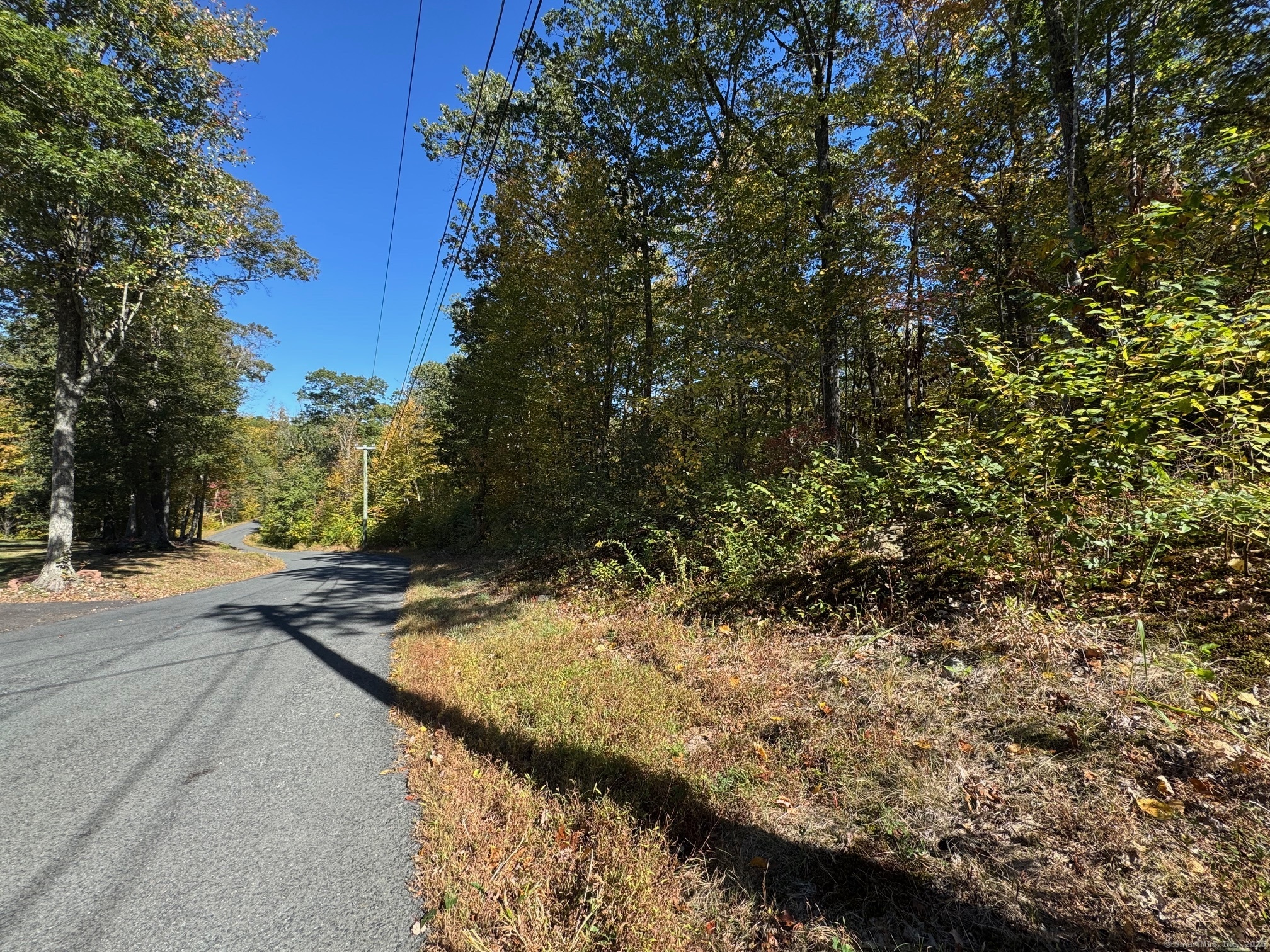 428-lot Plains Road Property Photo 6