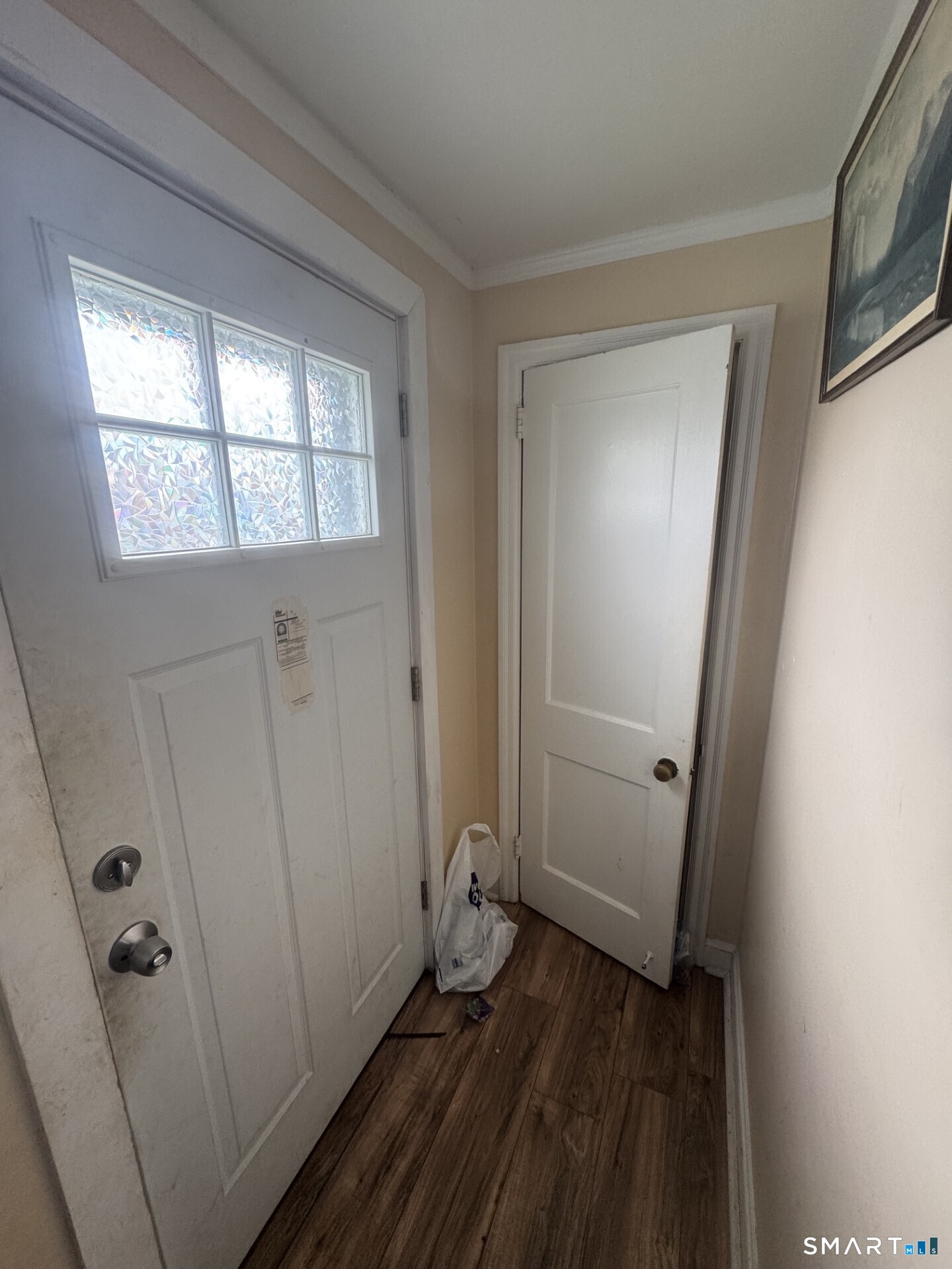 49 Abbotsford Avenue Property Photo 6