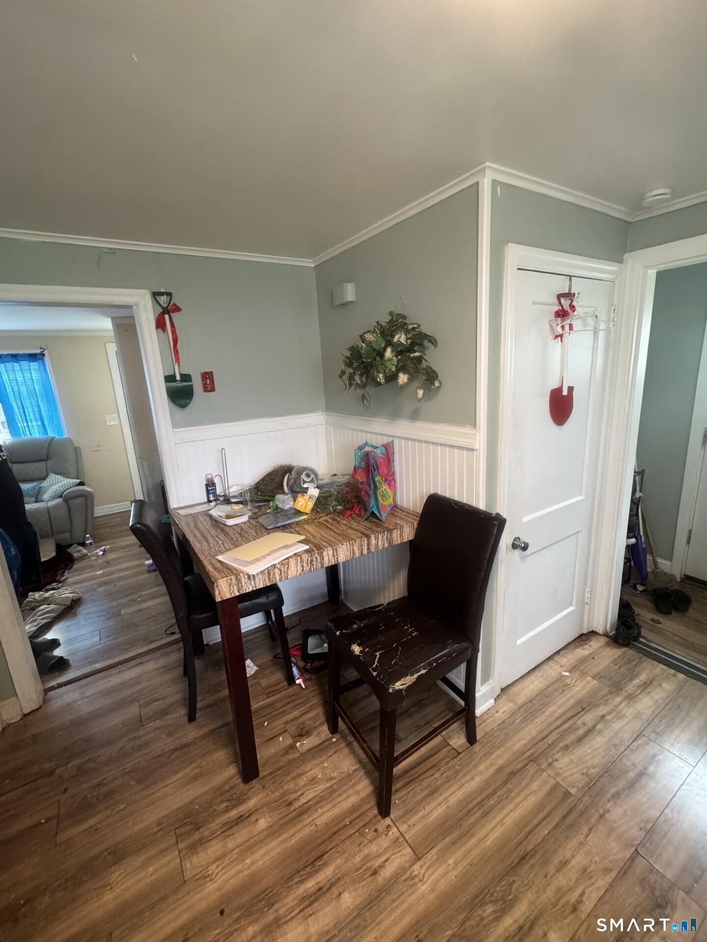 49 Abbotsford Avenue Property Photo 9
