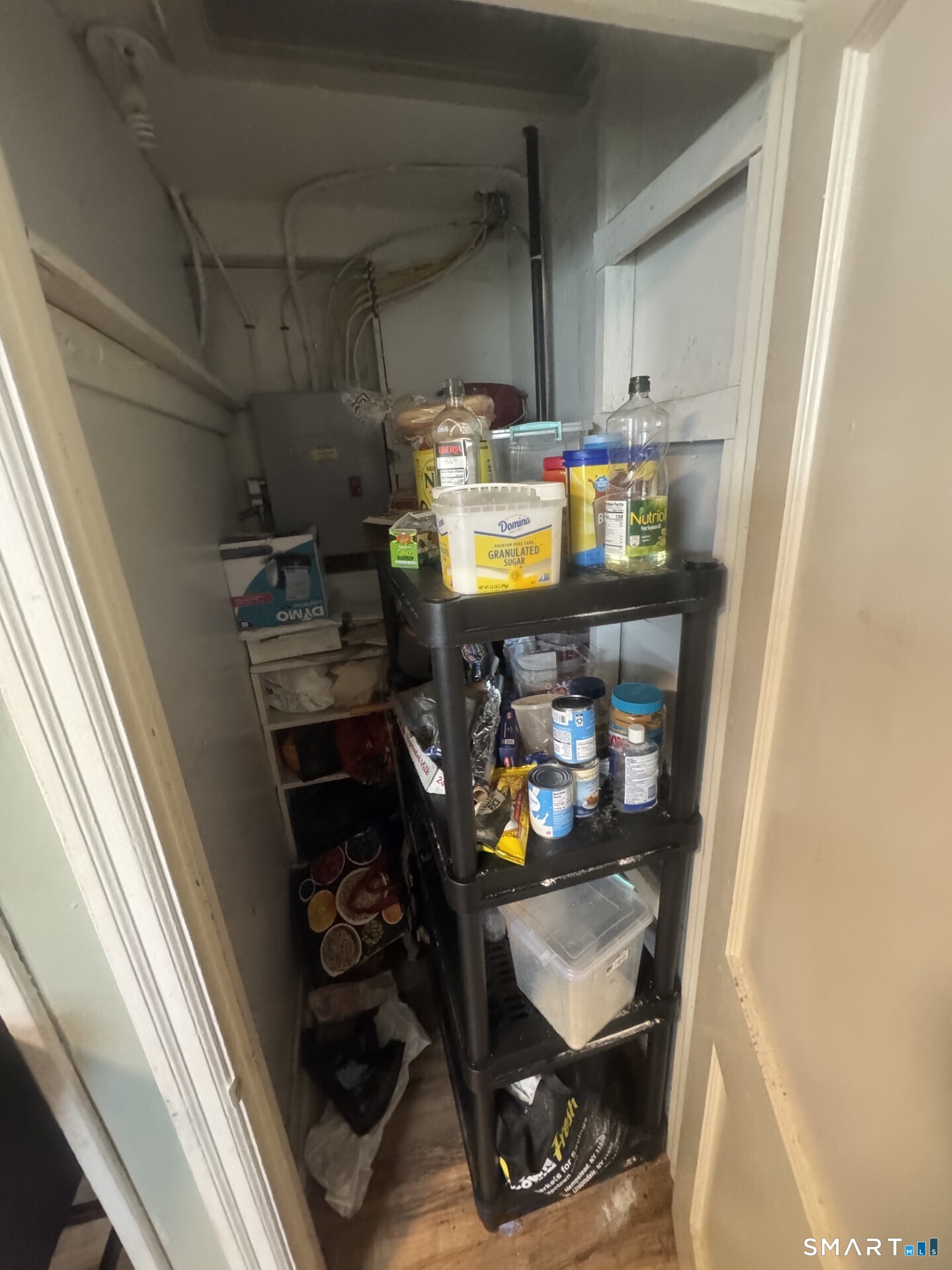 49 Abbotsford Avenue Property Photo 14