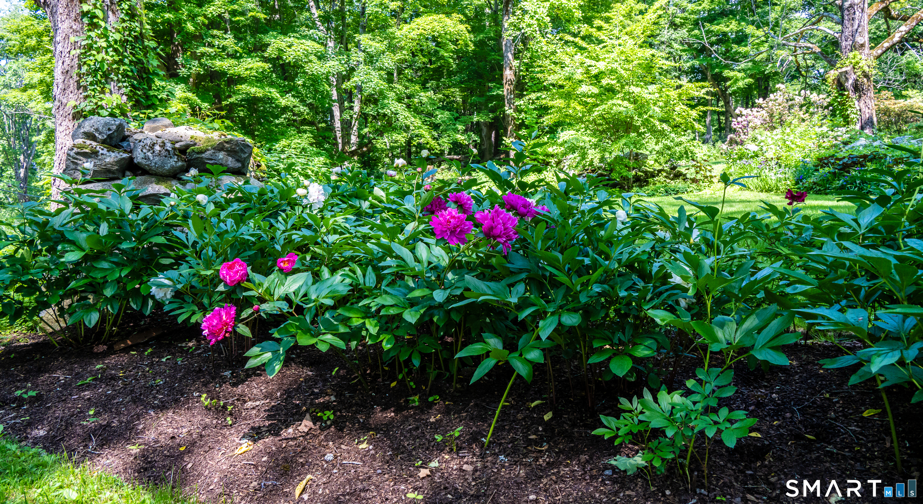 130 Sharon Mountain Road Property Photo 36