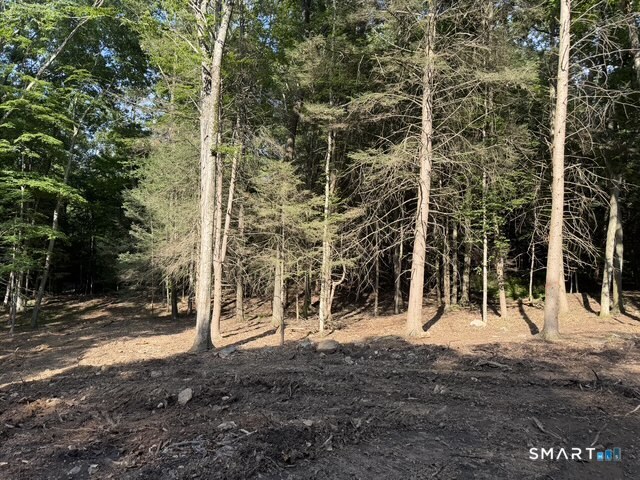 Lot 1 Chalybes West Road Property Photo 1