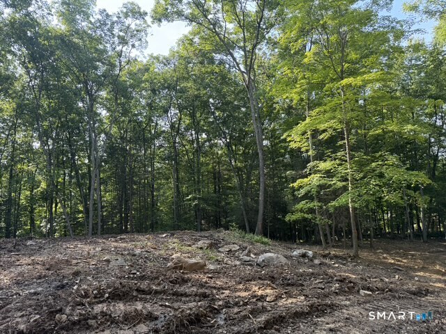 Lot 1 Chalybes West Road Property Photo 2