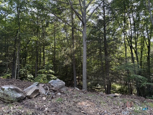 Lot 1 Chalybes West Road Property Photo 4