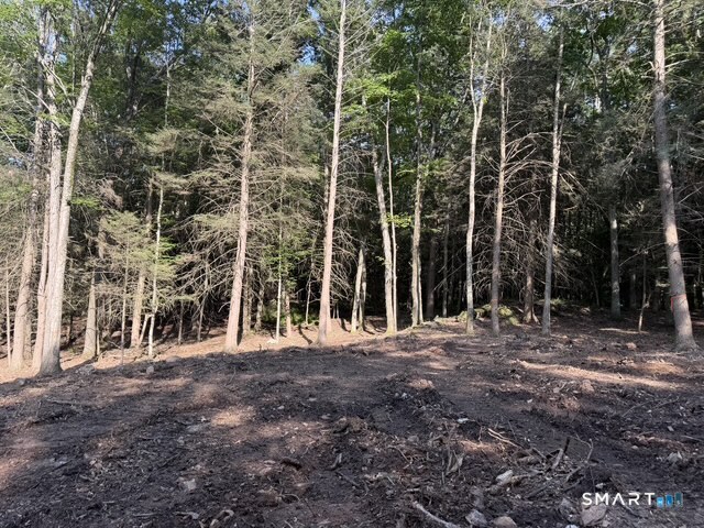 Lot 1 Chalybes West Road Property Photo 6