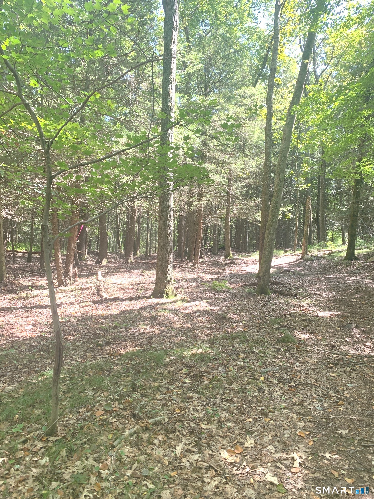 Lot 1 Chalybes West Road Property Photo 10