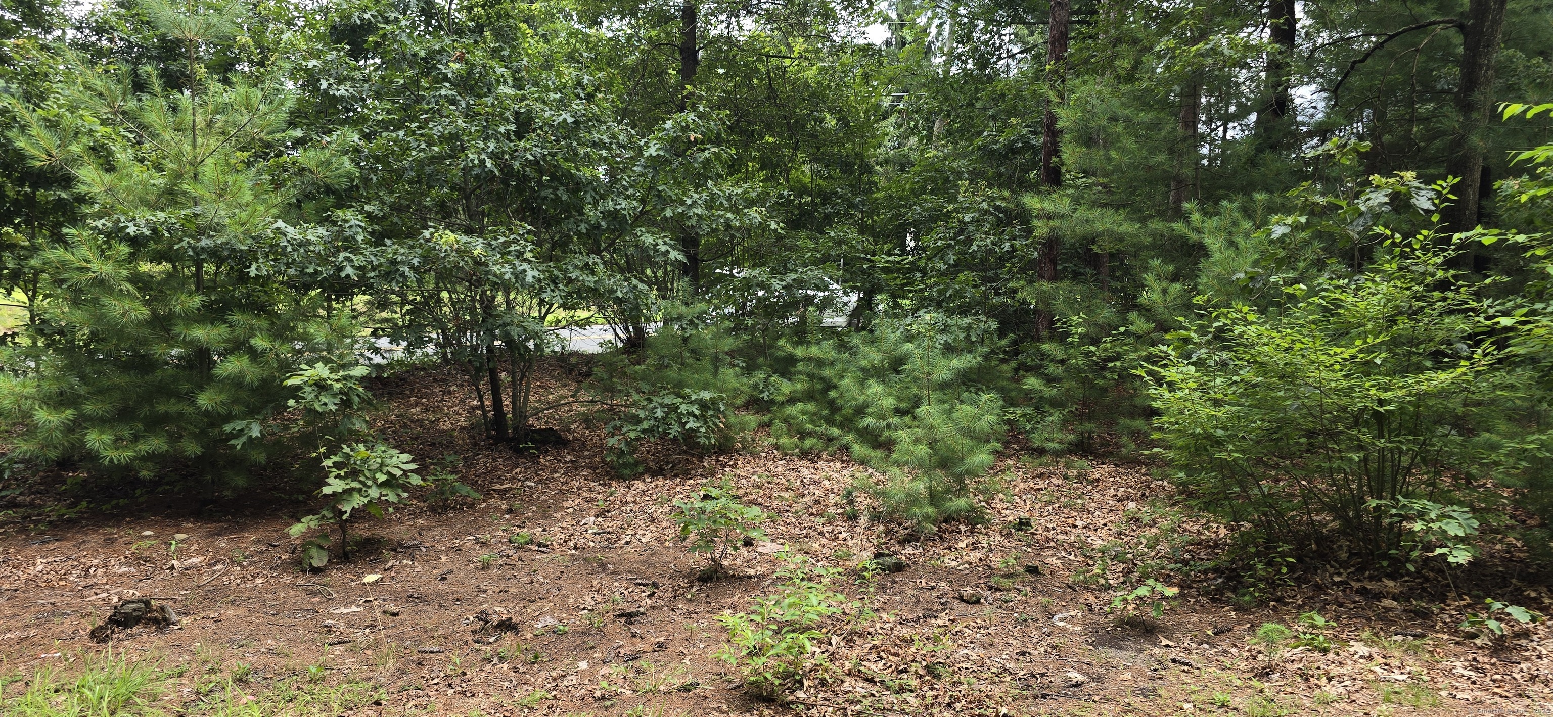 185 West Avon Road Property Photo 6