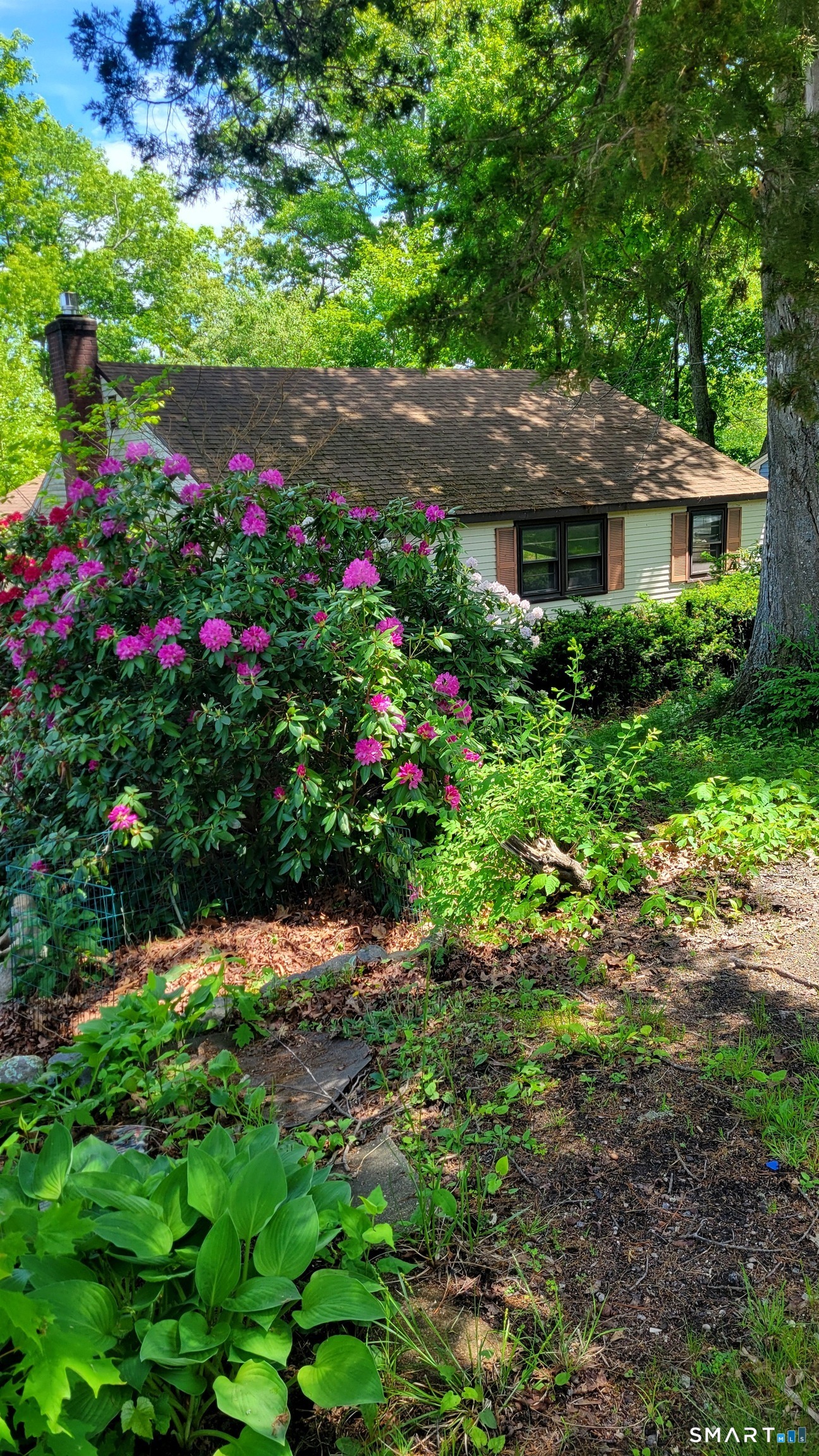 22 Ridgewood Road Property Photo 28
