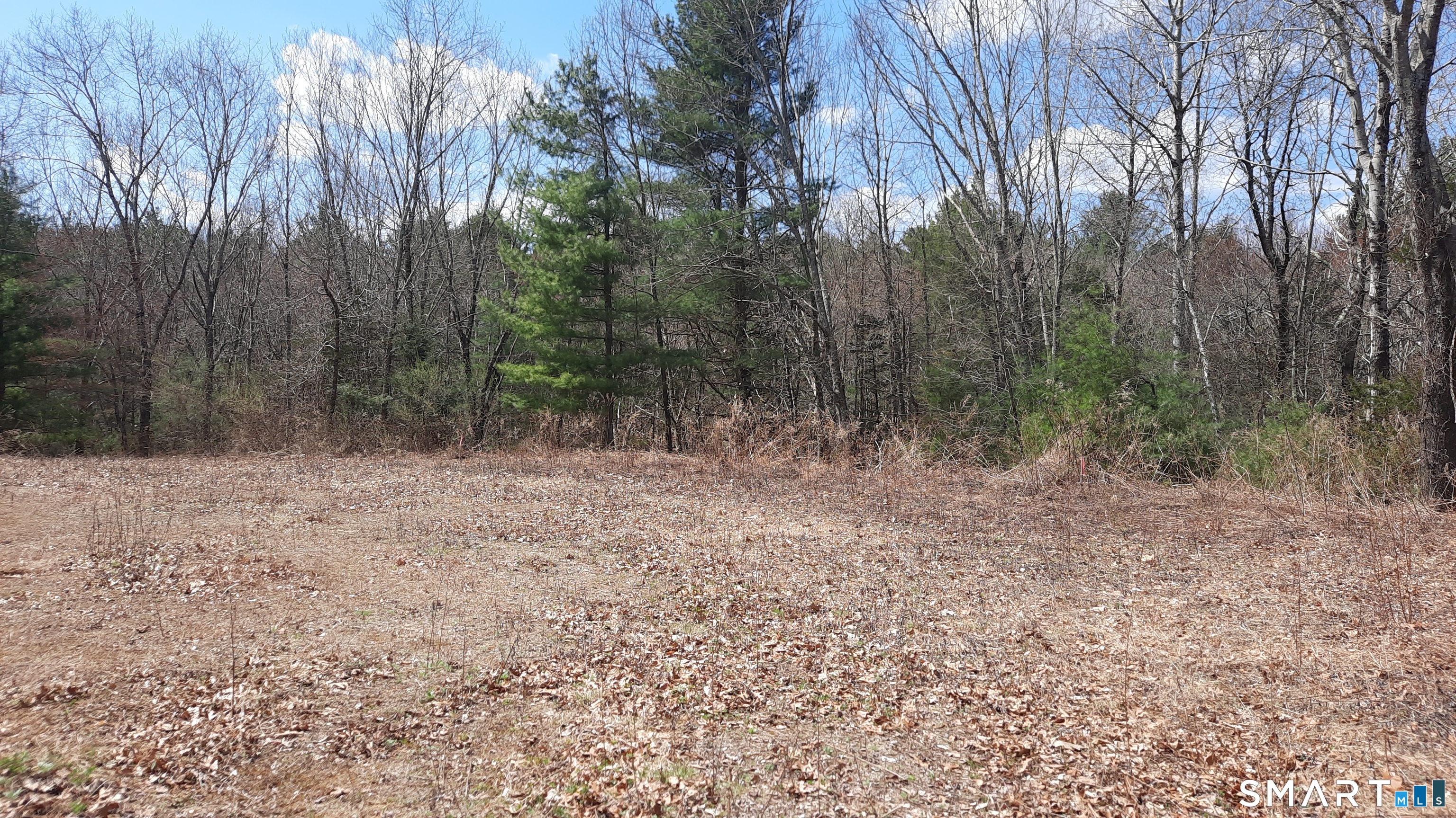 Lot 03-2 New Sweden Road Property Photo 1