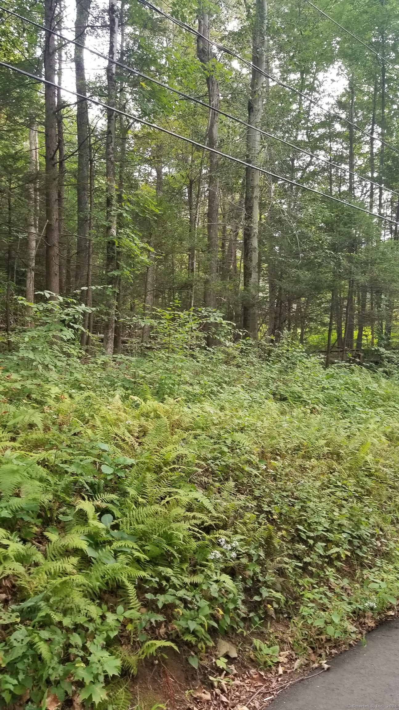 00 Stockburger Road Property Photo 2