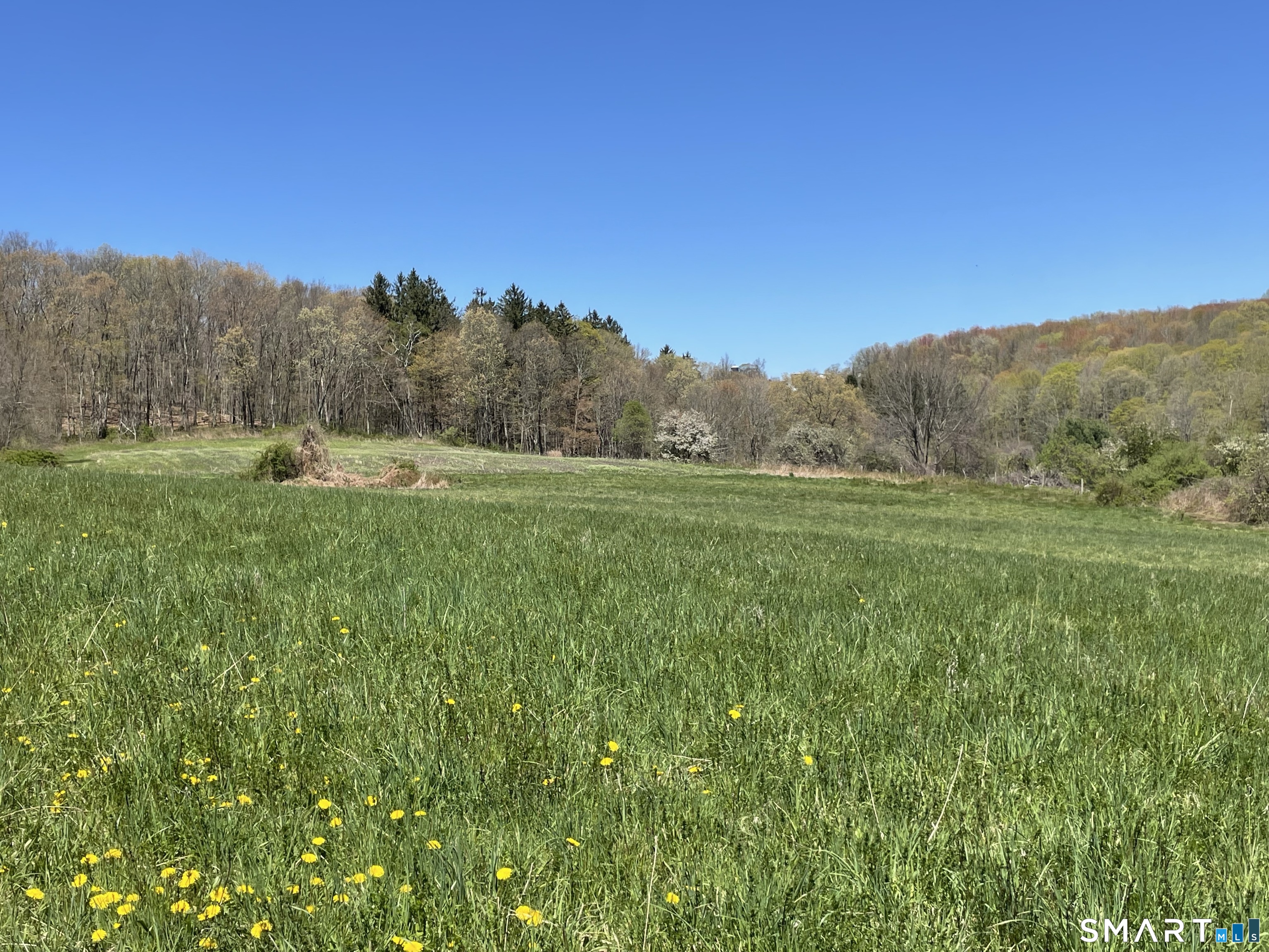55 Ranney Hill Road Property Photo 1