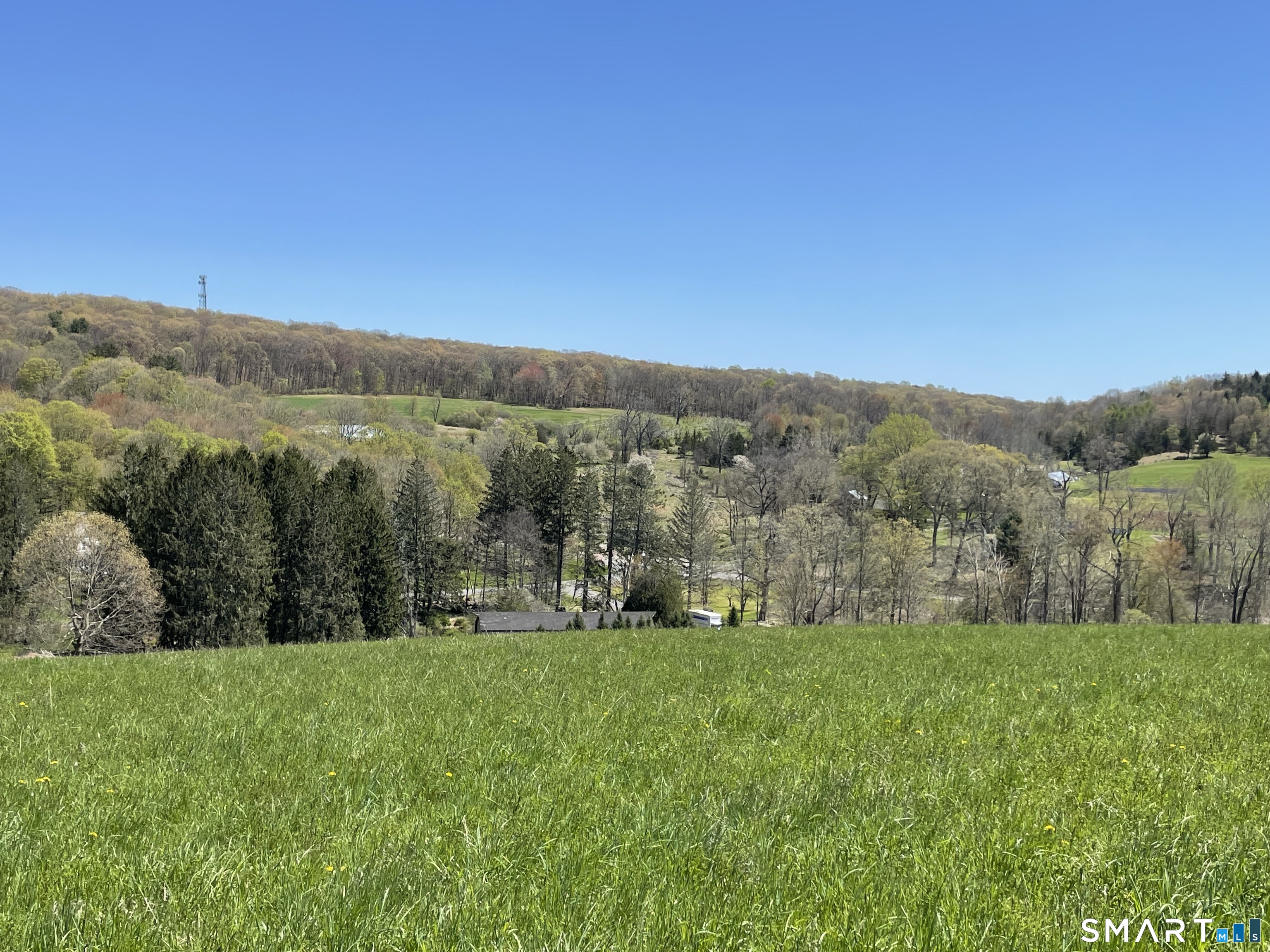 55 Ranney Hill Road Property Photo 3