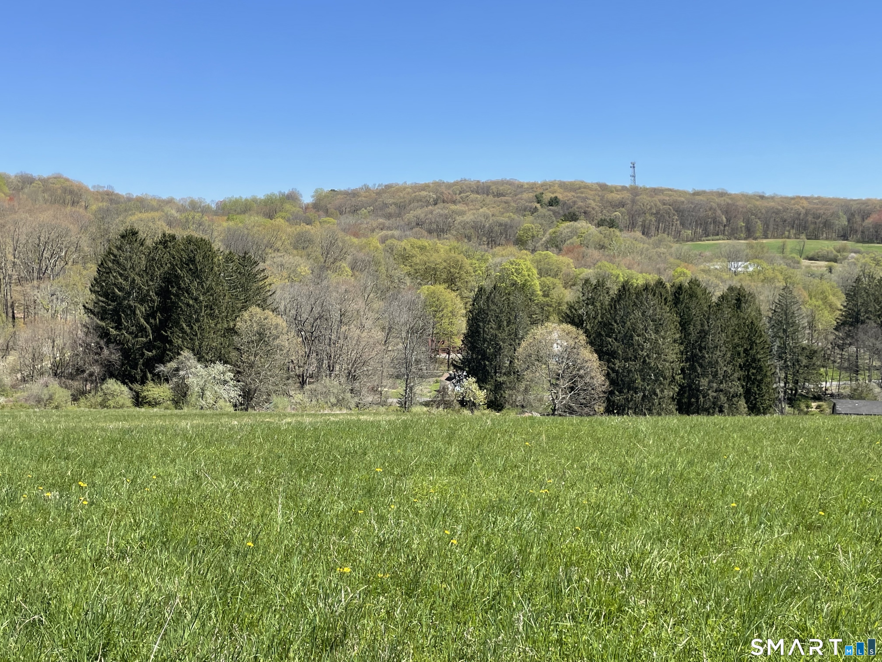 55 Ranney Hill Road Property Photo 4