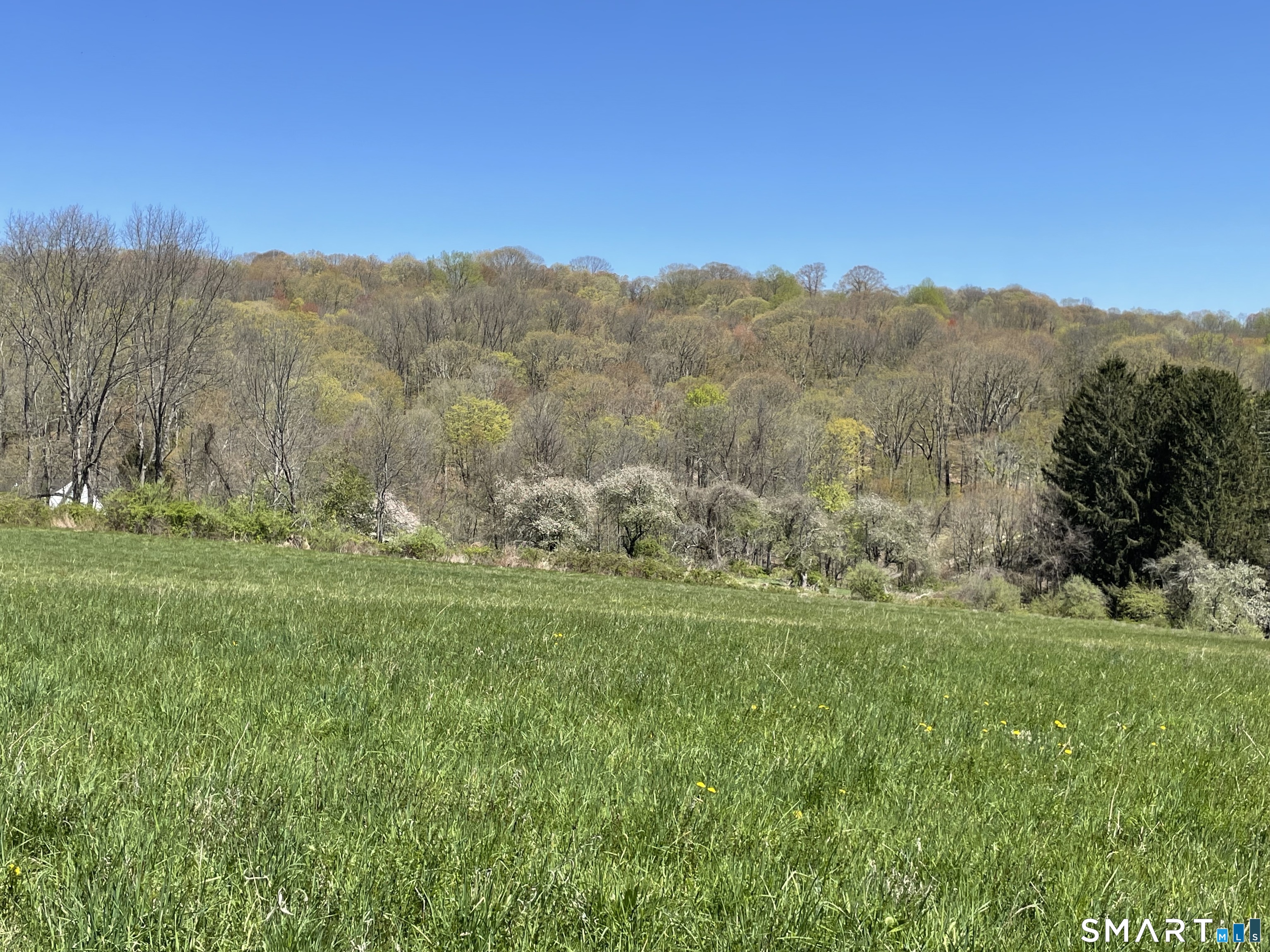 55 Ranney Hill Road Property Photo 5